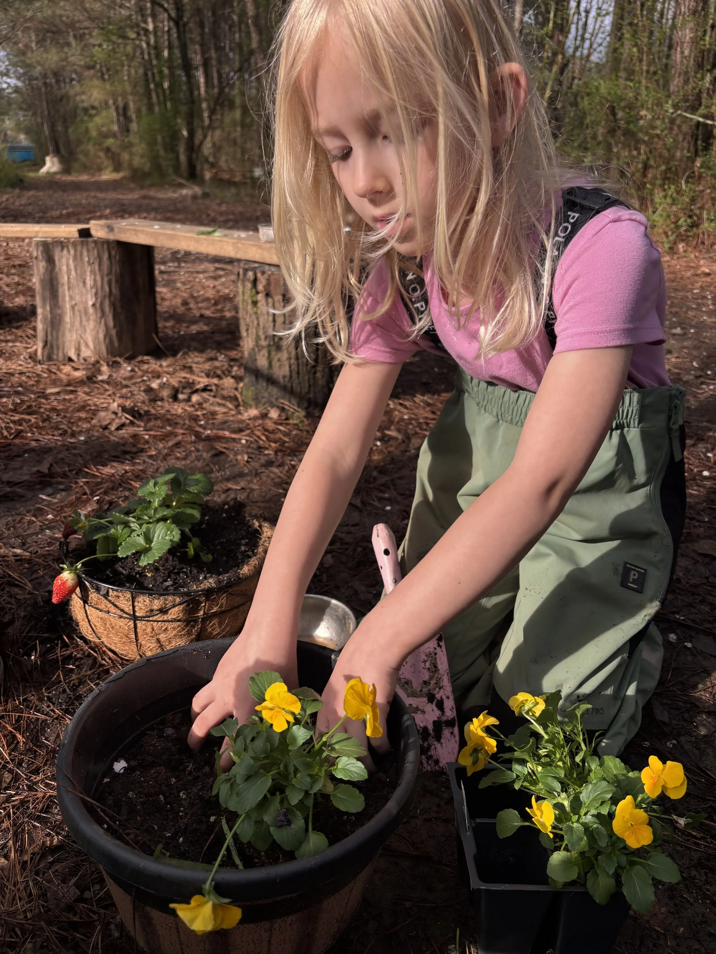 Kindergarten Honeybees: March 9 - 13, 2026