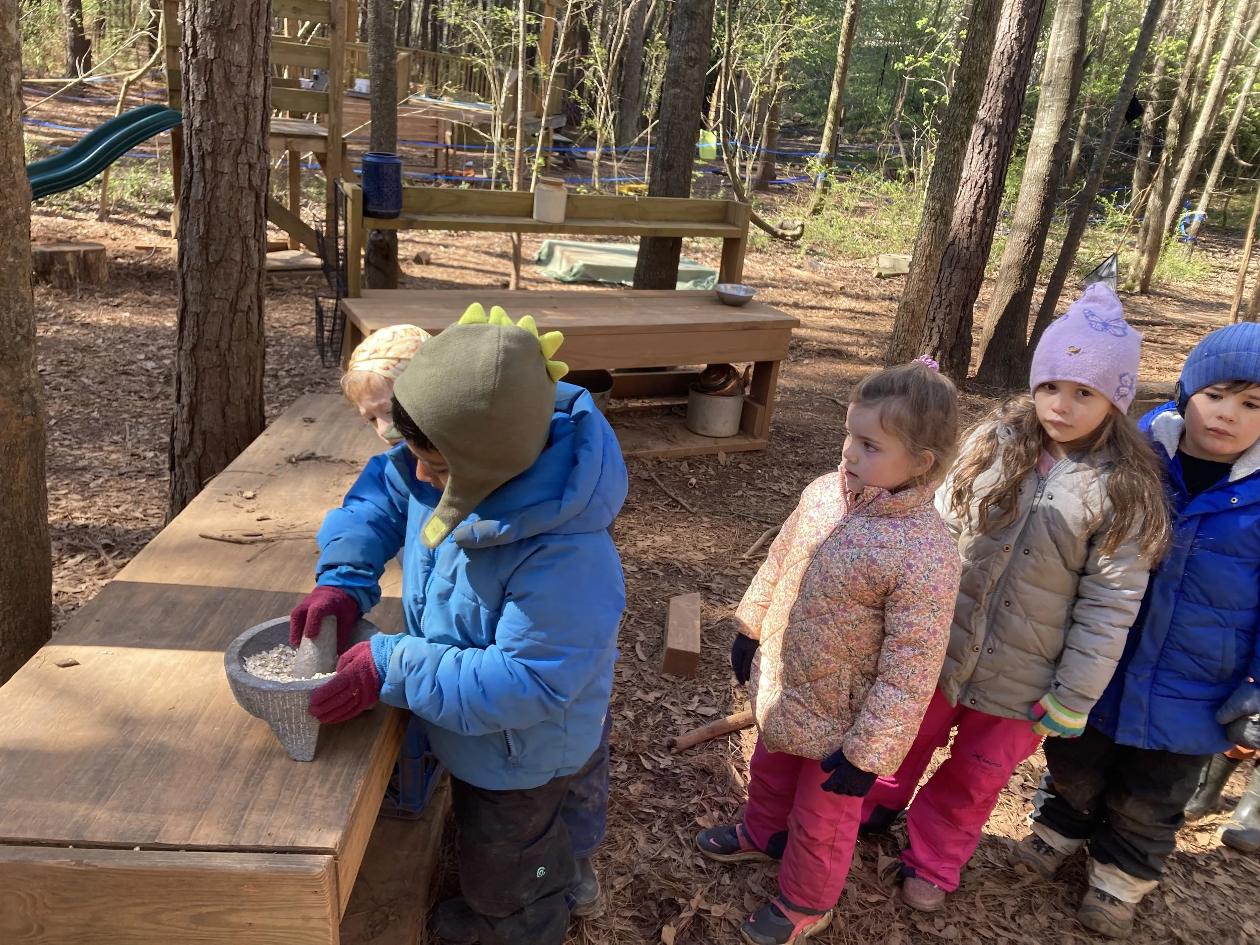 Kindergarten Chickadees: March 16 - 20, 2026 