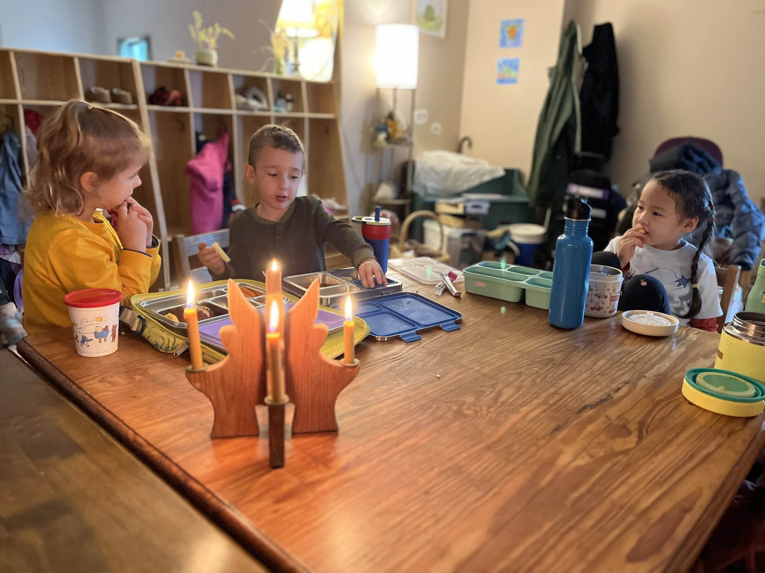 Kindergarten Turtles: March 16 - 20, 2026 