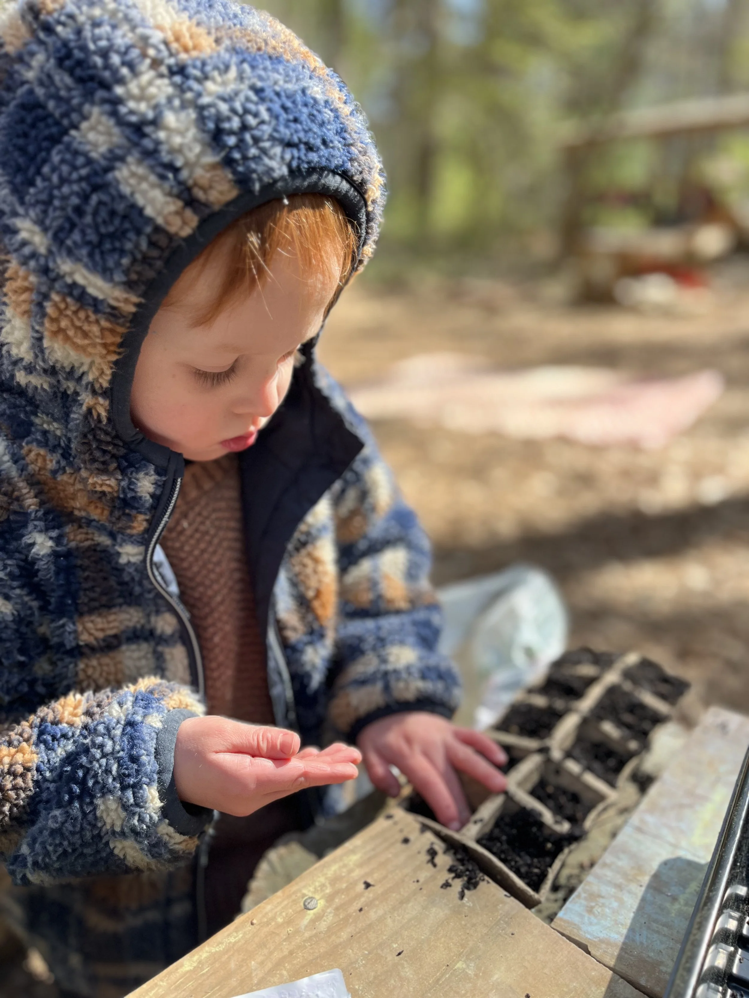 Kindergarten Turtles: March 23 - 27, 2026 