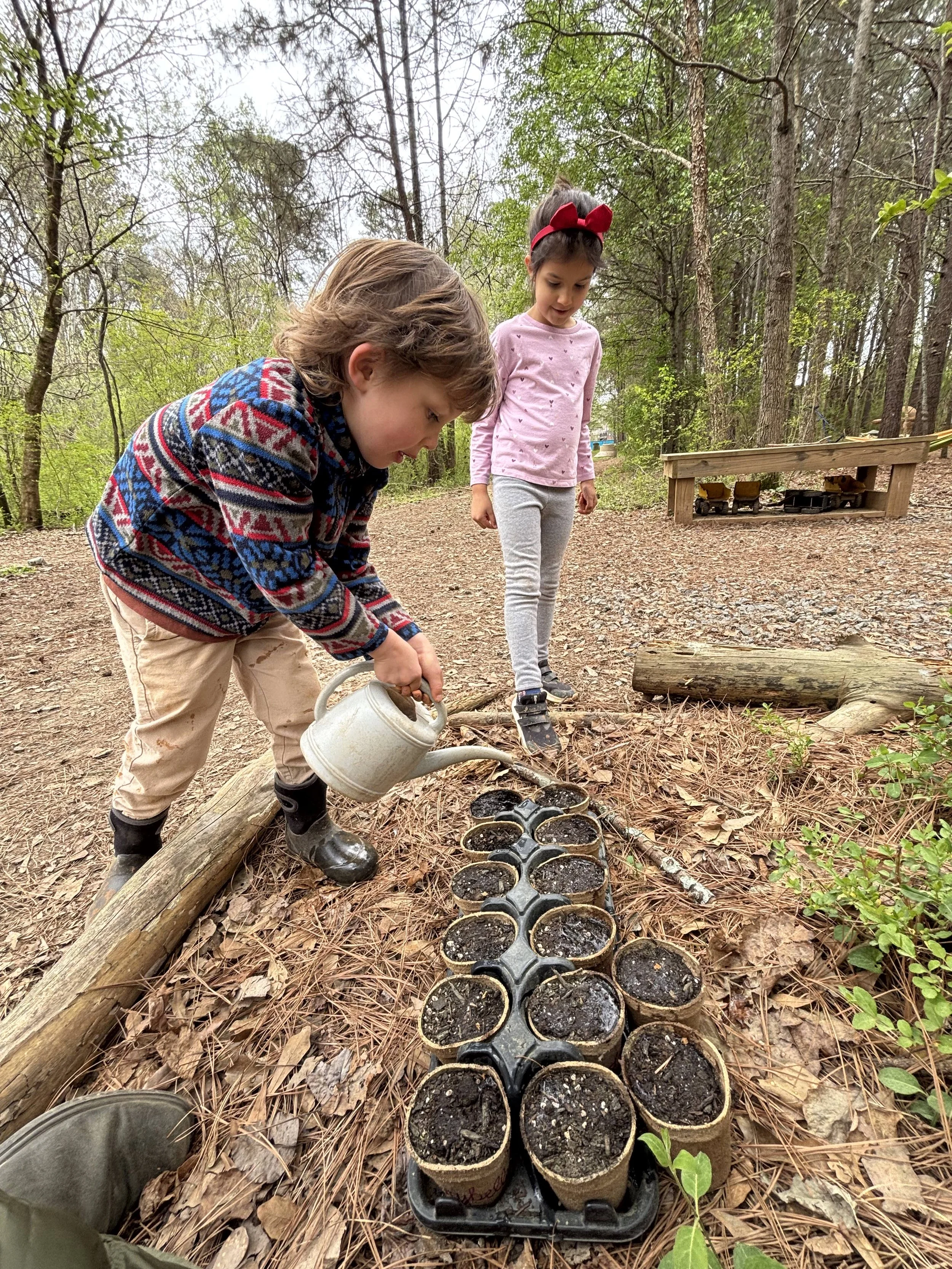 Kindergarten Honeybees: March 23 - 27, 2026 