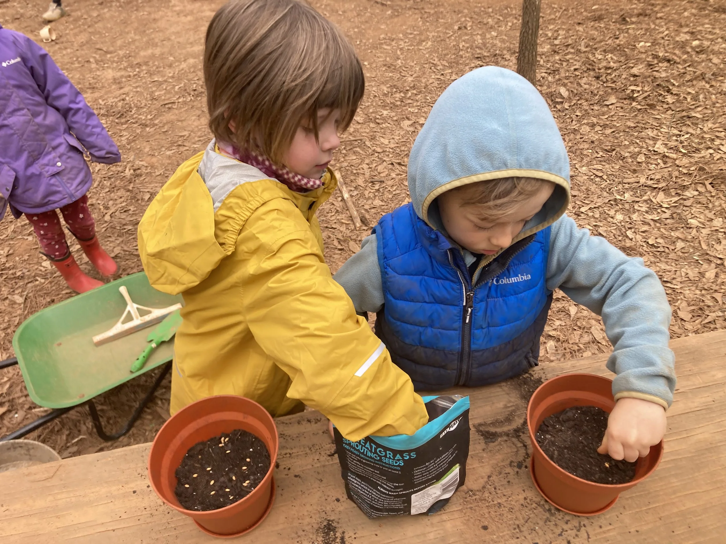 Kindergarten Chickadees: March 23 - 27, 2026