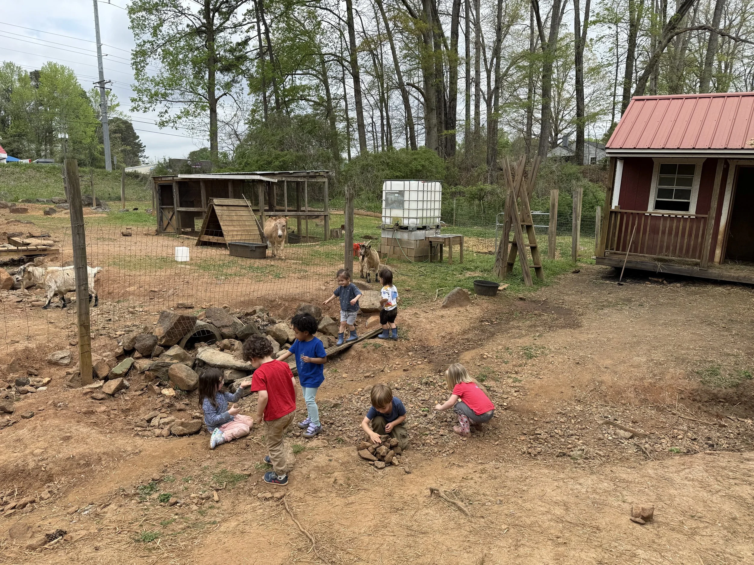 Joyful Beginnings Bluebirds: March 30 - April 3, 2026