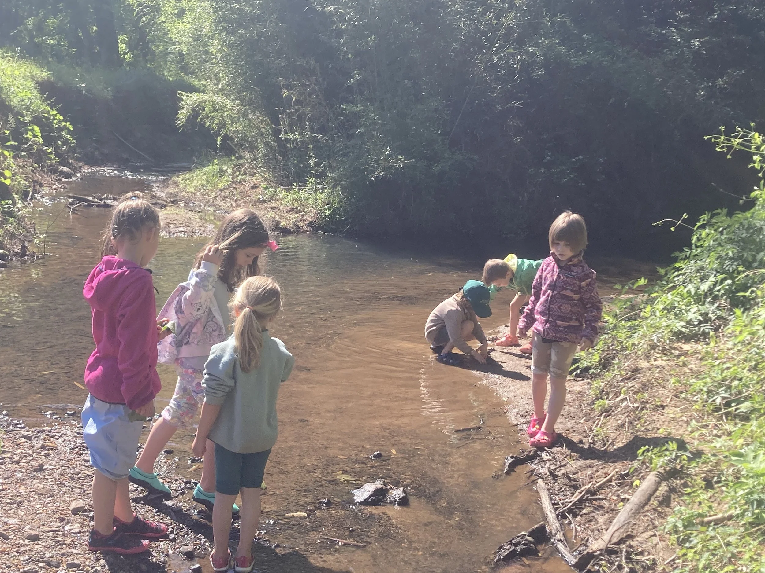 Kindergarten Chickadees: April 13 - 17, 2026 