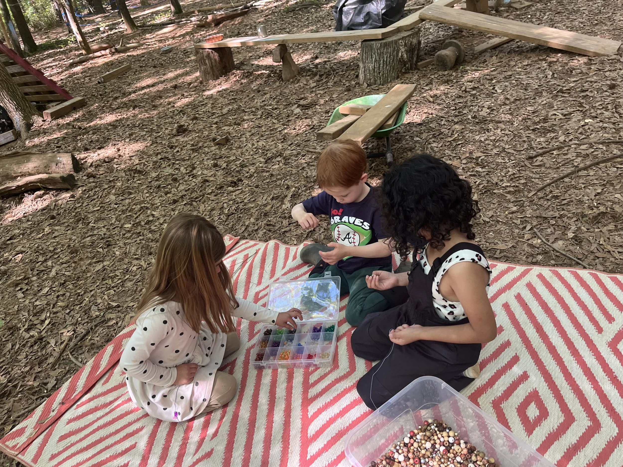 Kindergarten Turtle: April 20 - 24, 2026 