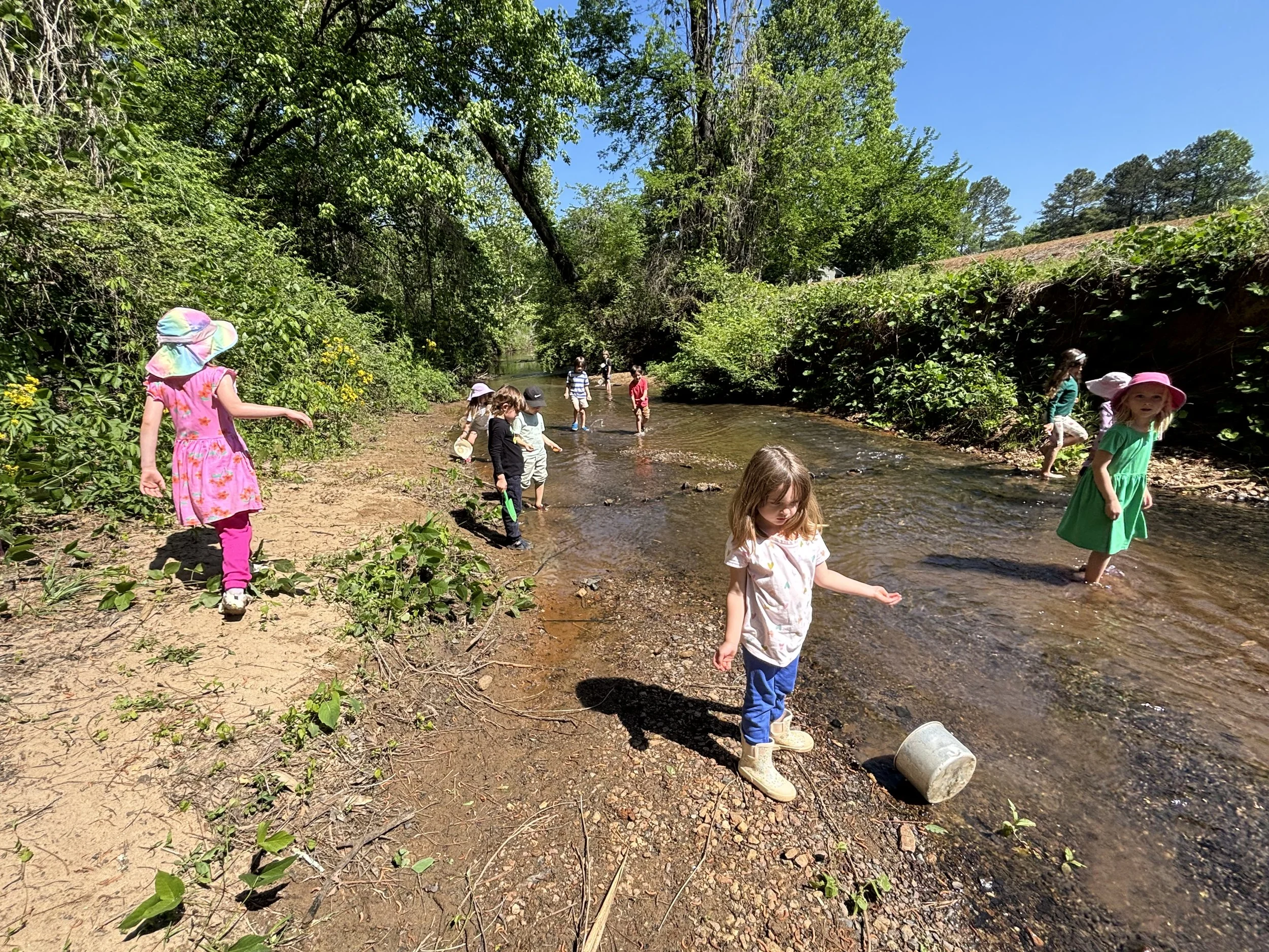 Kindergarten Honeybees: April 20 - 24, 2026 
