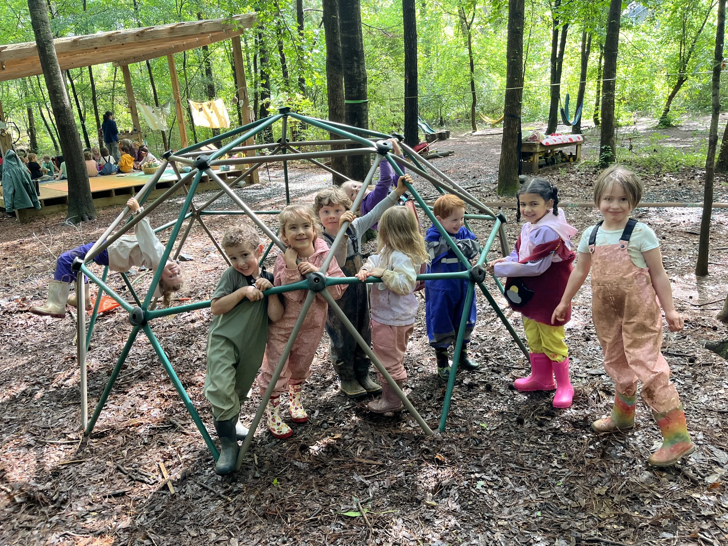 Kindergarten Turtles: April 27 - May 1, 2026 