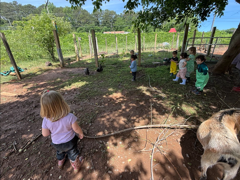 Joyful Beginnings Bluebirds: May 4 - 8, 2026