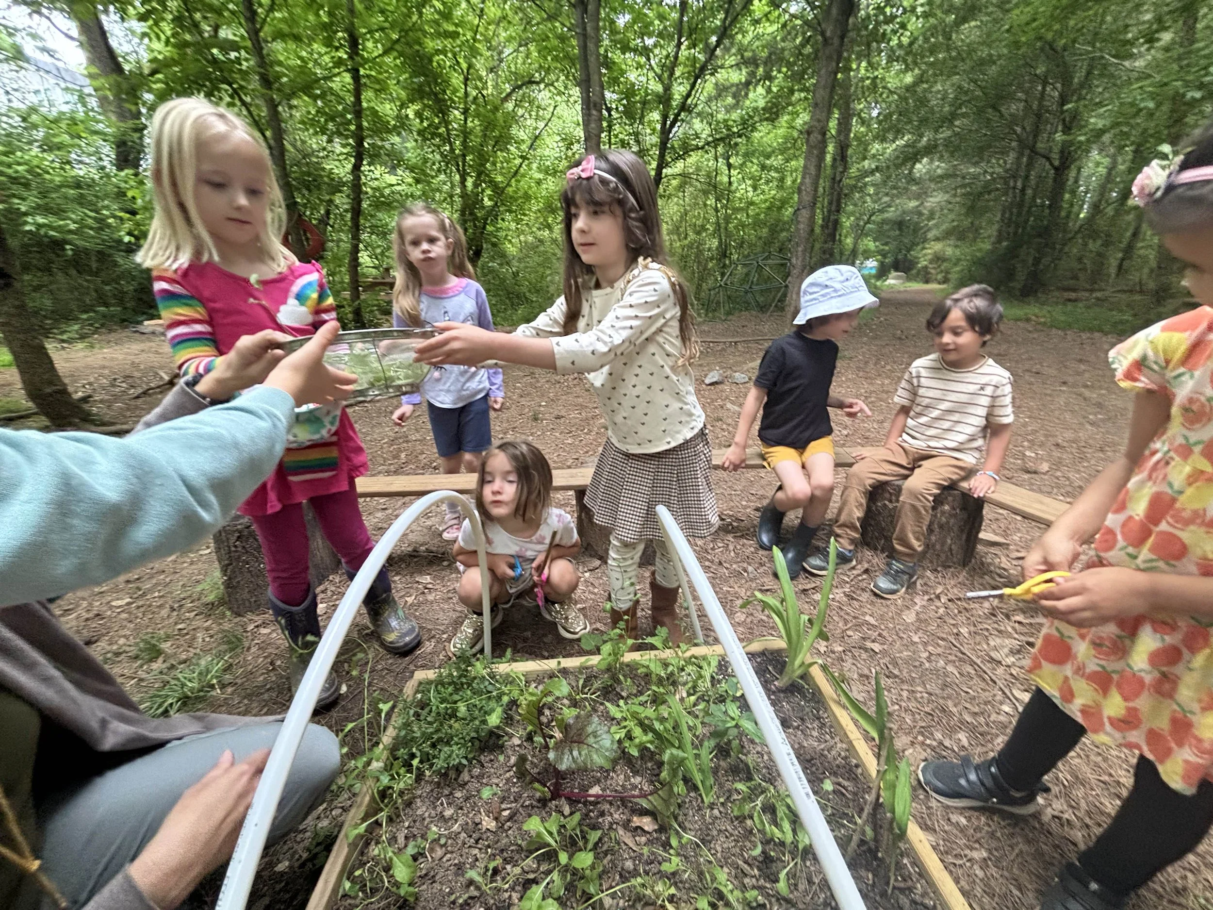 Kindergarten Honeybees: May 4 - 8, 2026 