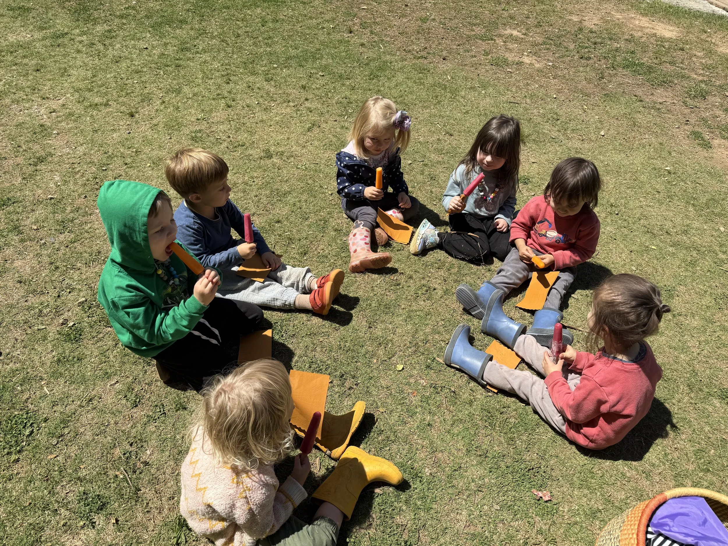 Joyful Beginnings Bluebirds: May 11-15, 2026