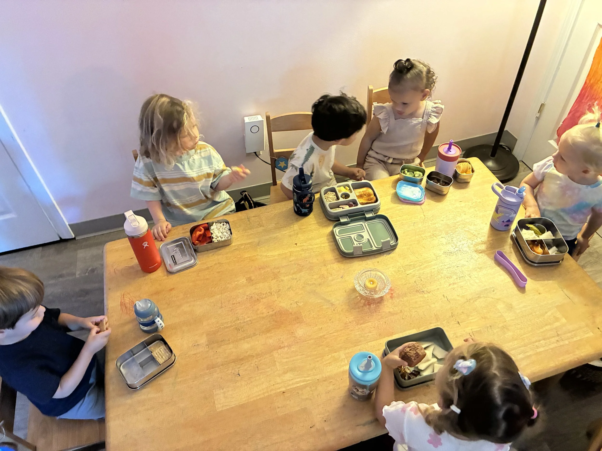 Joyful Beginnings Hummingbirds: August 11-14, 2026