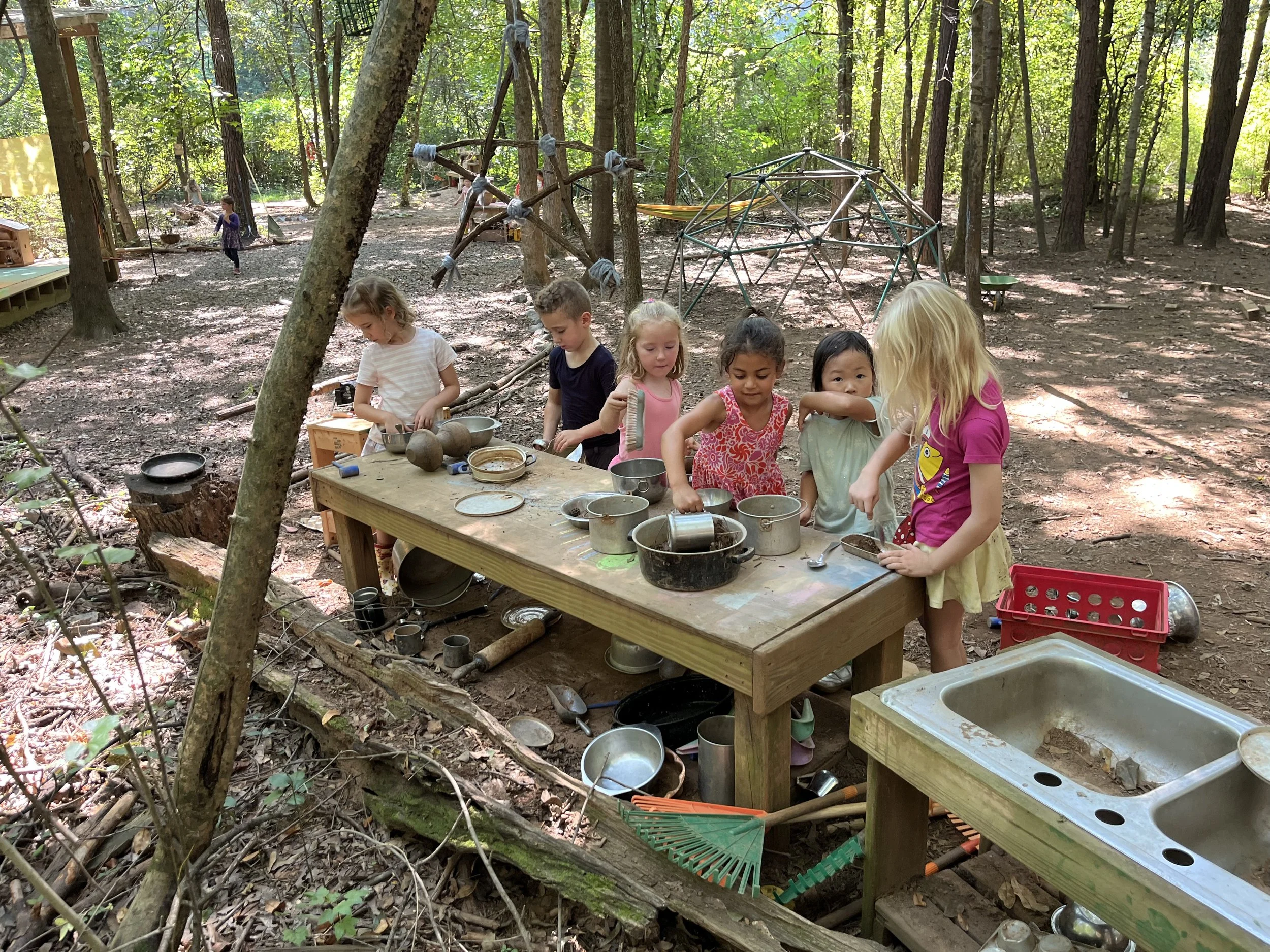Kindergarten Turtles: August 31-September 4, 2026 