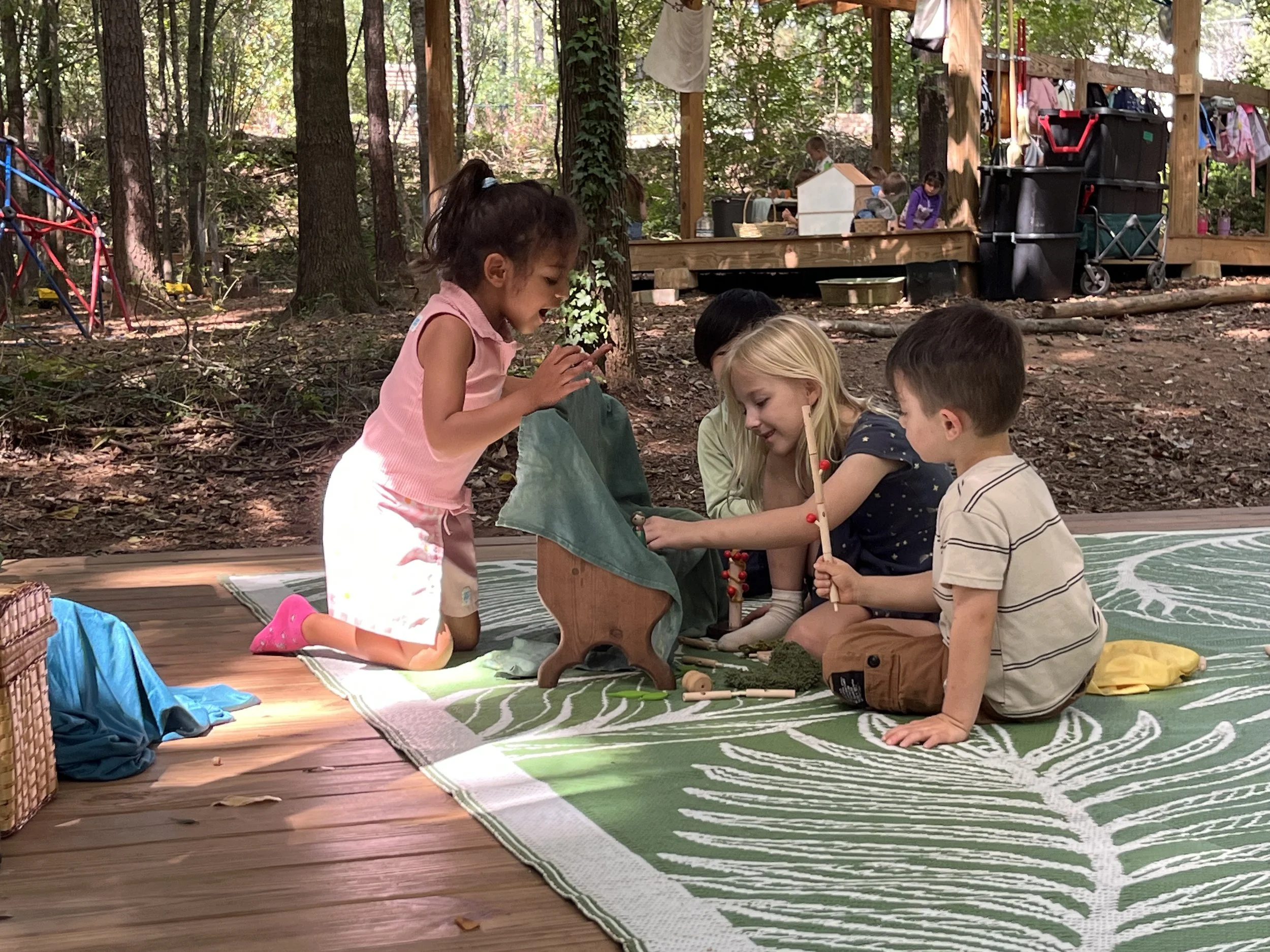 Kindergarten Turtles: September 7-11, 2026