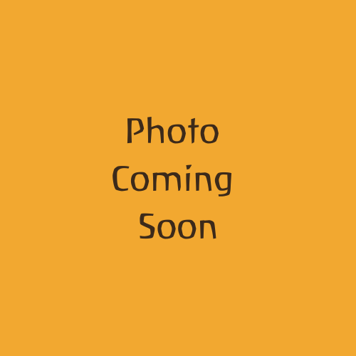 A smiling Waldorf school Director standing outdoors with green foliage in the background.