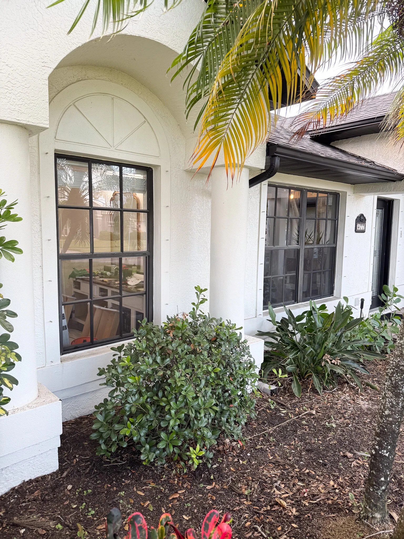 Exterior of a house with white walls, black-framed windows, and lush green plants in the garden.