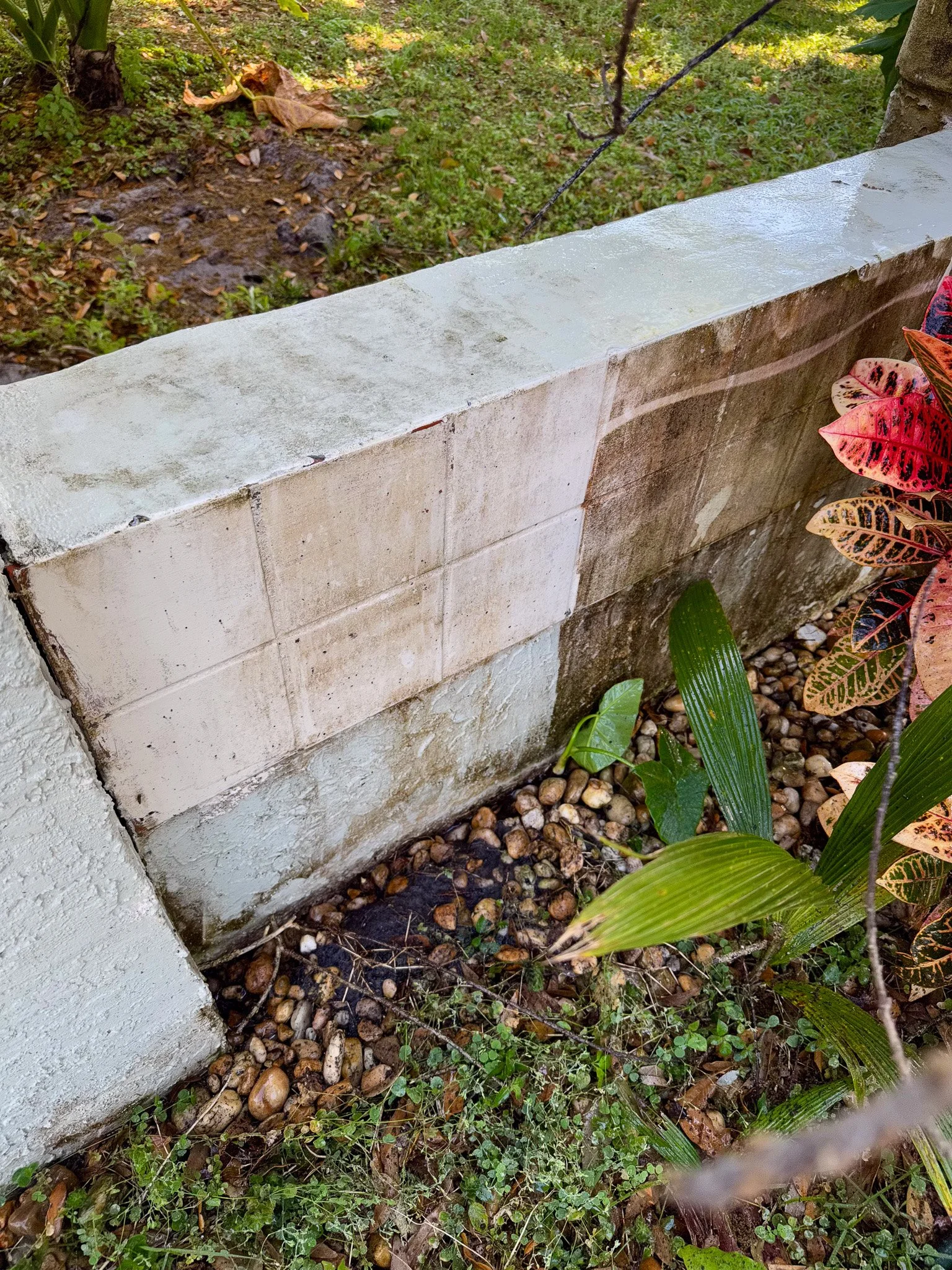 Professional Pressure Washing