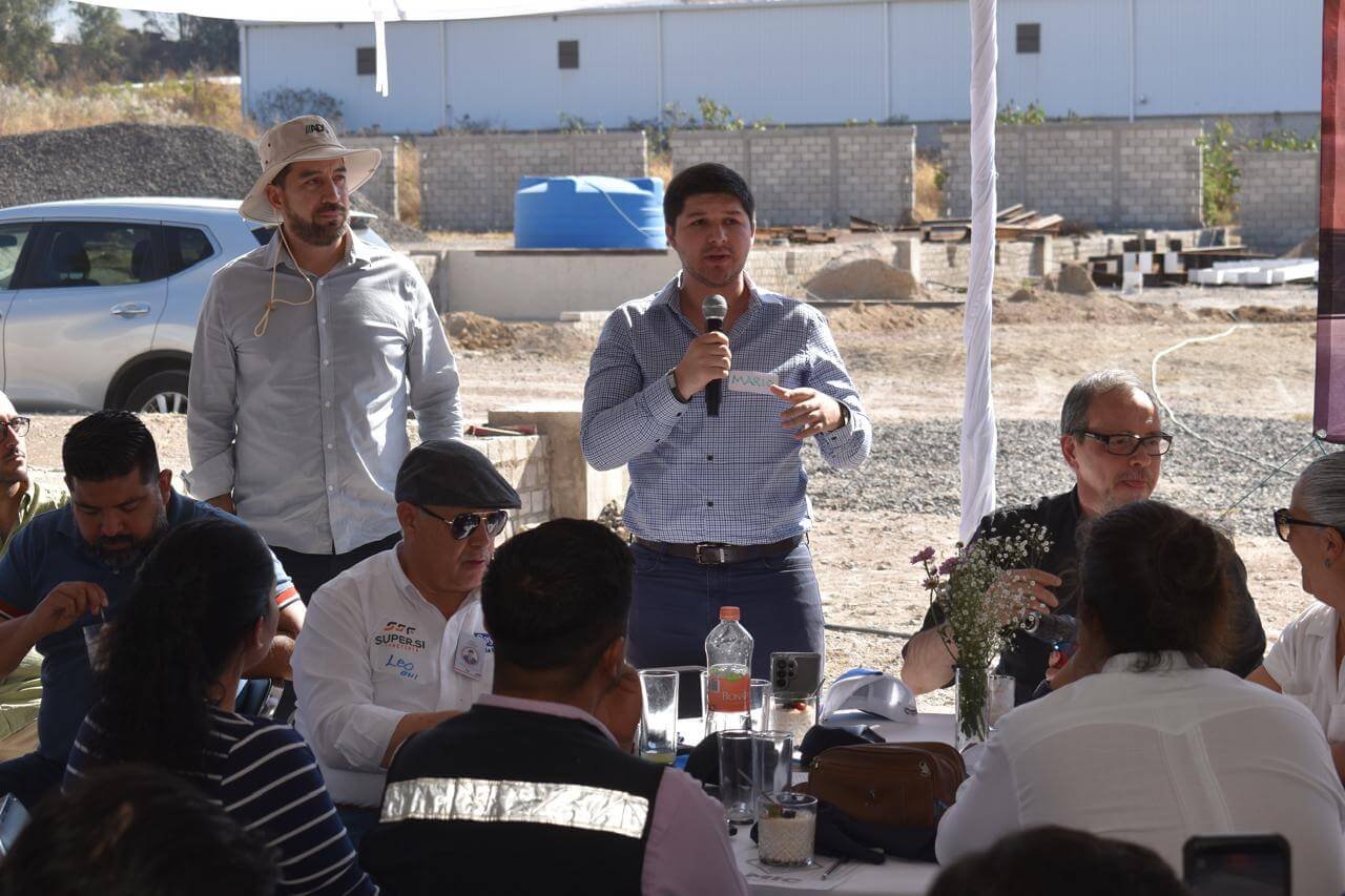 WhatsApp Image 2025-03-02 at 17.17.41.jpeg