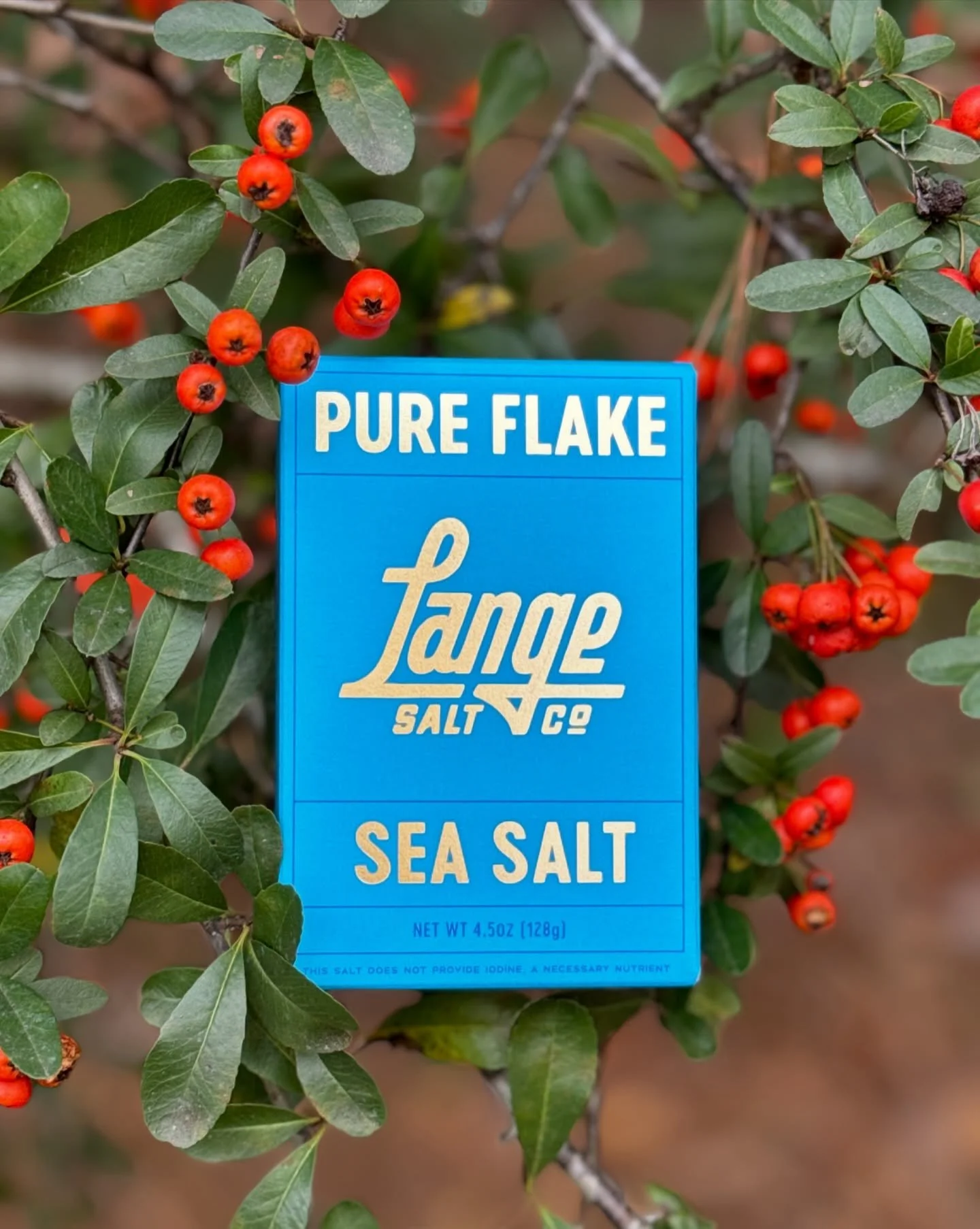 From our family to yours&mdash;Merry Christmas! 🎄
Thank you so much for supporting Lange Salt Co. this year. Whether you discovered our hand-crafted salts at a market, through one of our retail partners, or in our online shop, we&rsquo;re truly humb