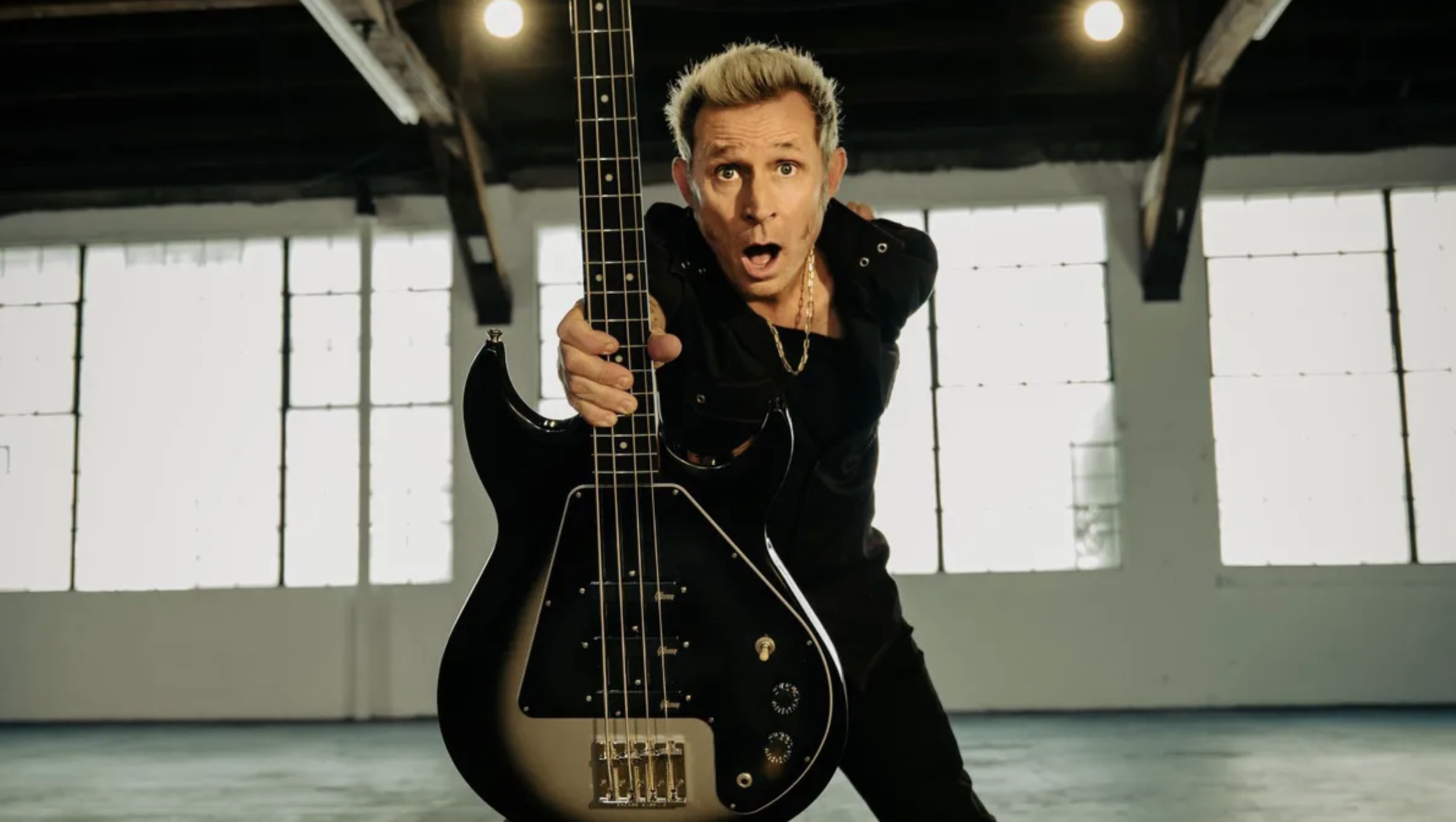 Mike Dirnt x Gibson
