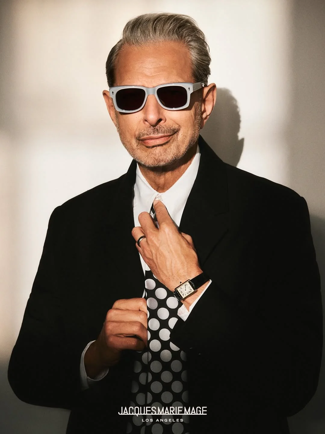 JEFF GOLDBLUM FOR JMM Welcome back to the show folks! To the third chapter in an ongoing dialogu.jpg