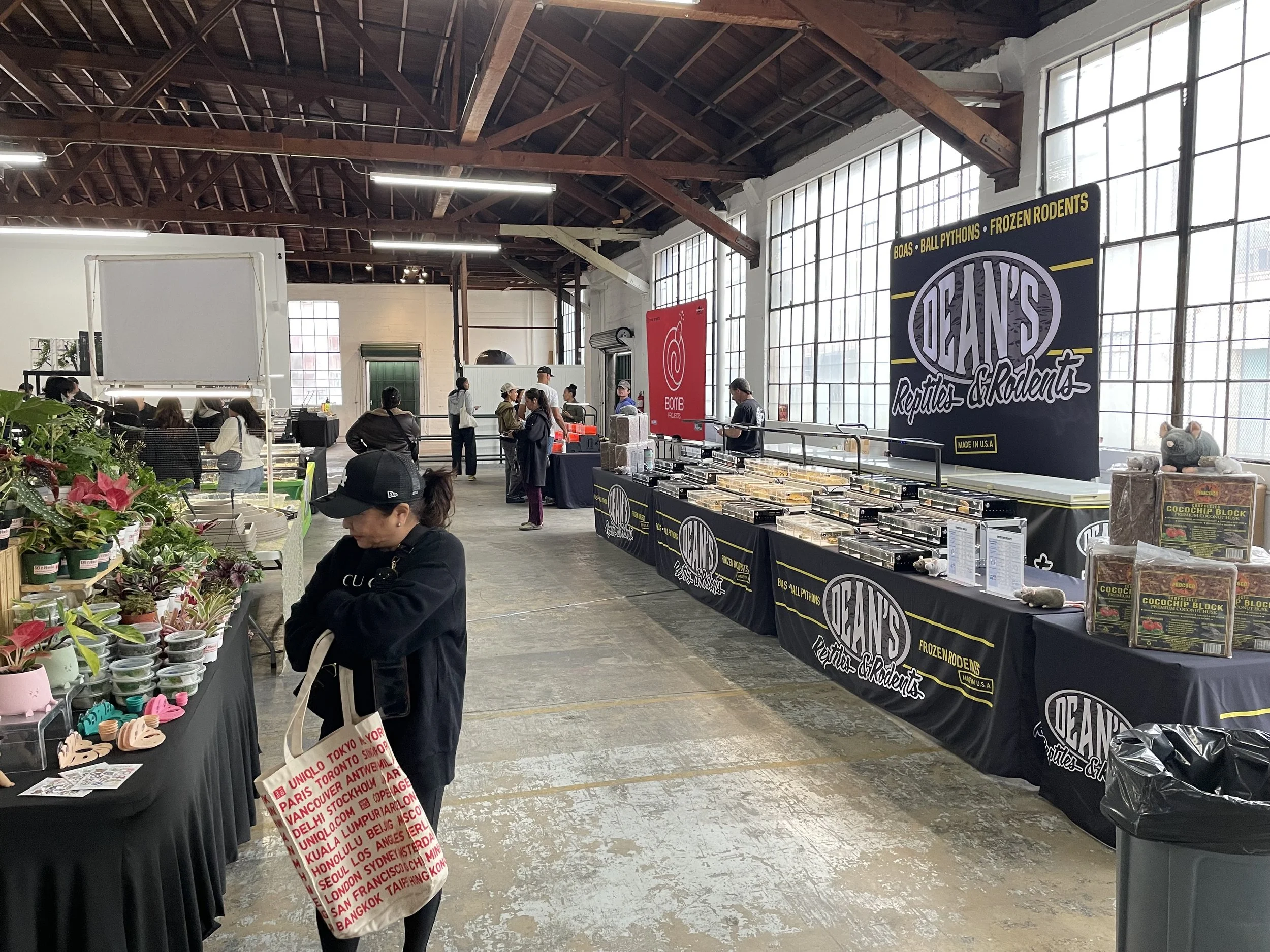 Vendors displaying items and reptile show