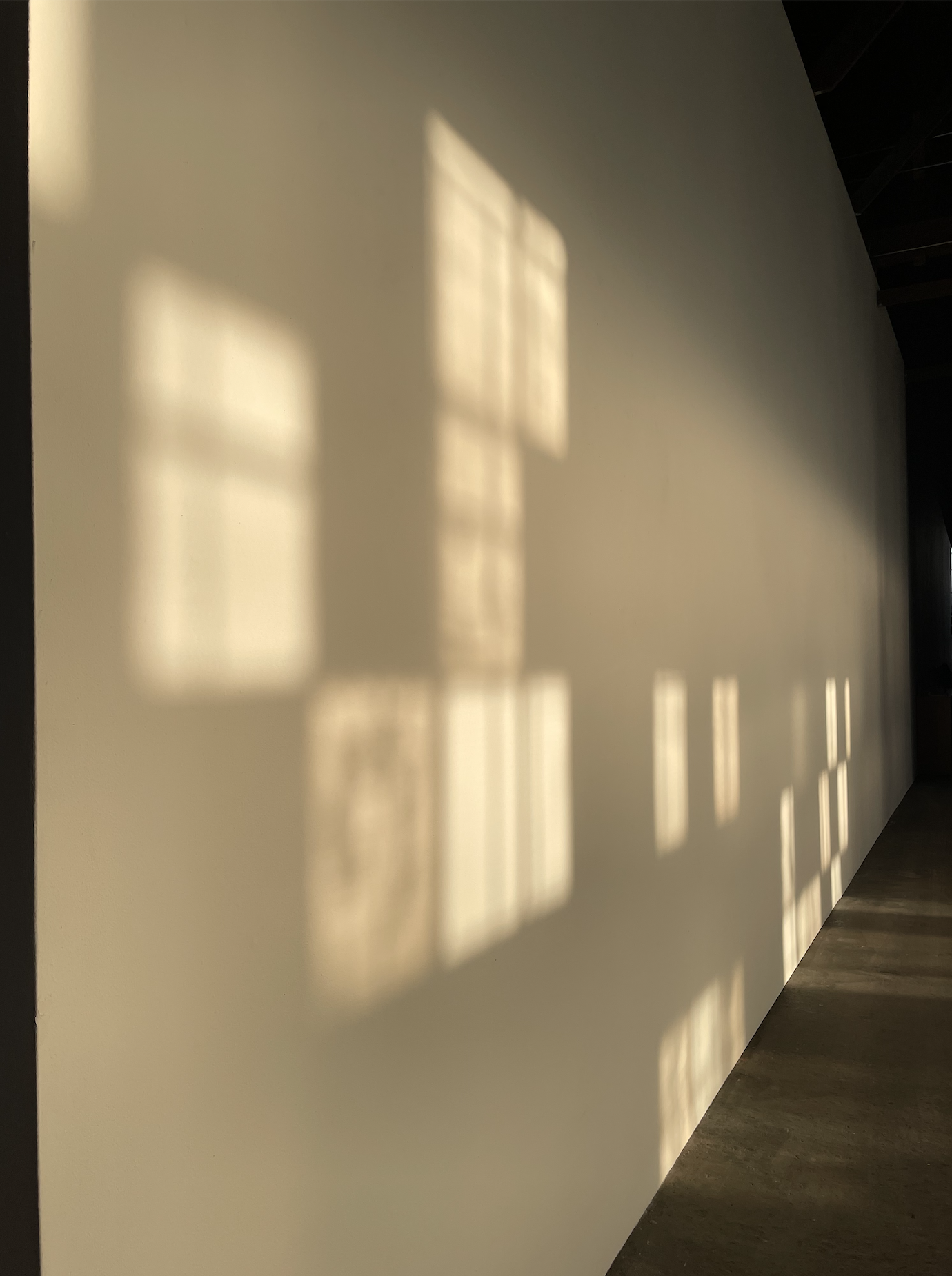 Screen Shot 2024-11-20 at 6.44.56 PM.png