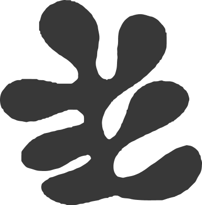 Group 13.png