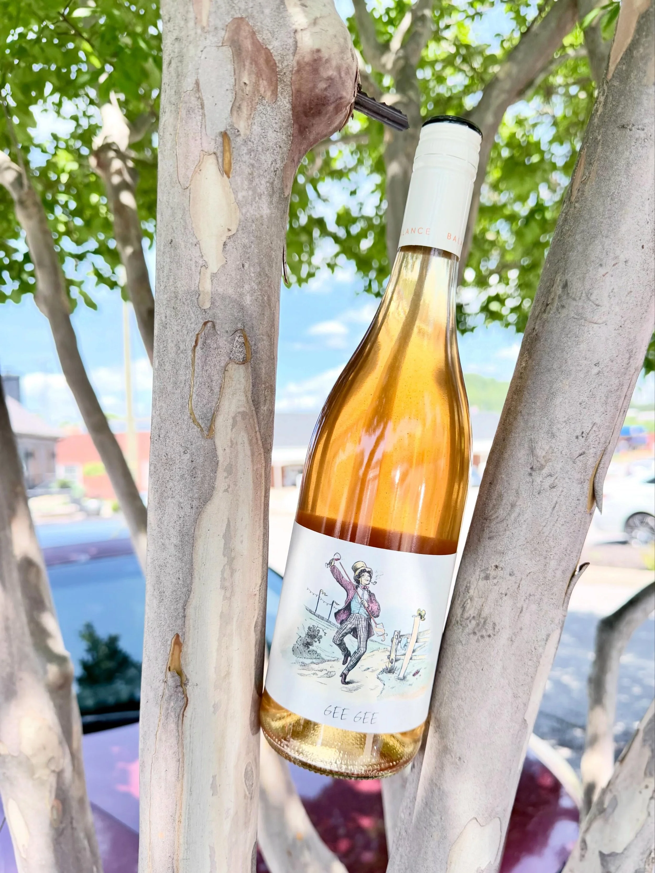 A favorite moment of the week shared with our real fam it's #winewednesdays 🍷.

Today's color of the day (and wine 😆) is Amber or also commonly known as Orange. A popular worldly wine choice, Orange is finally making waves here in the states. We ha