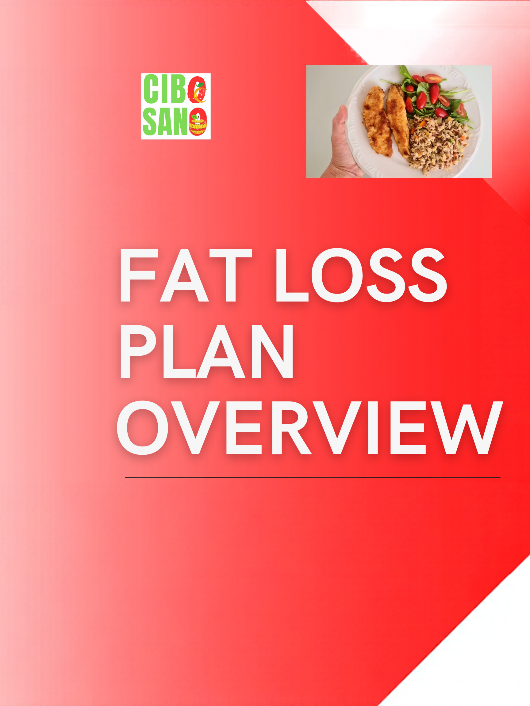 17. Fat Loss Meal Plan Development