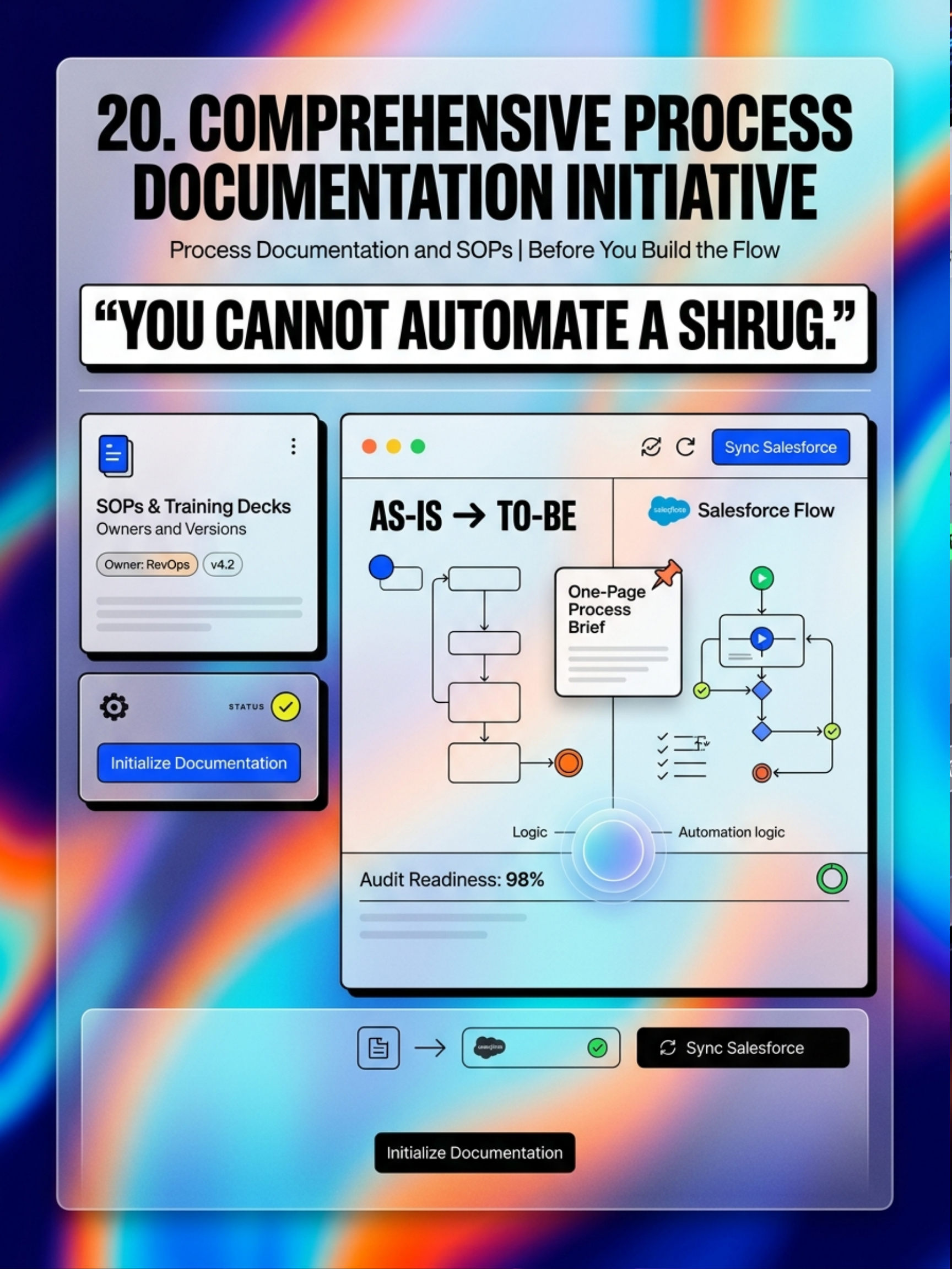 20. Comprehensive Process Documentation Initiative