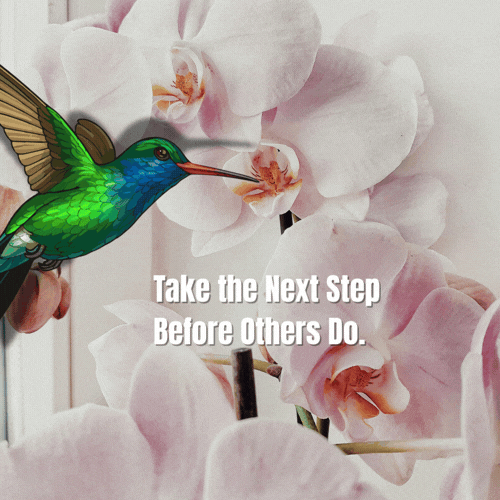 A colorful hummingbird near pink orchid flowers with the text "Take the Next Step Before Others Do."