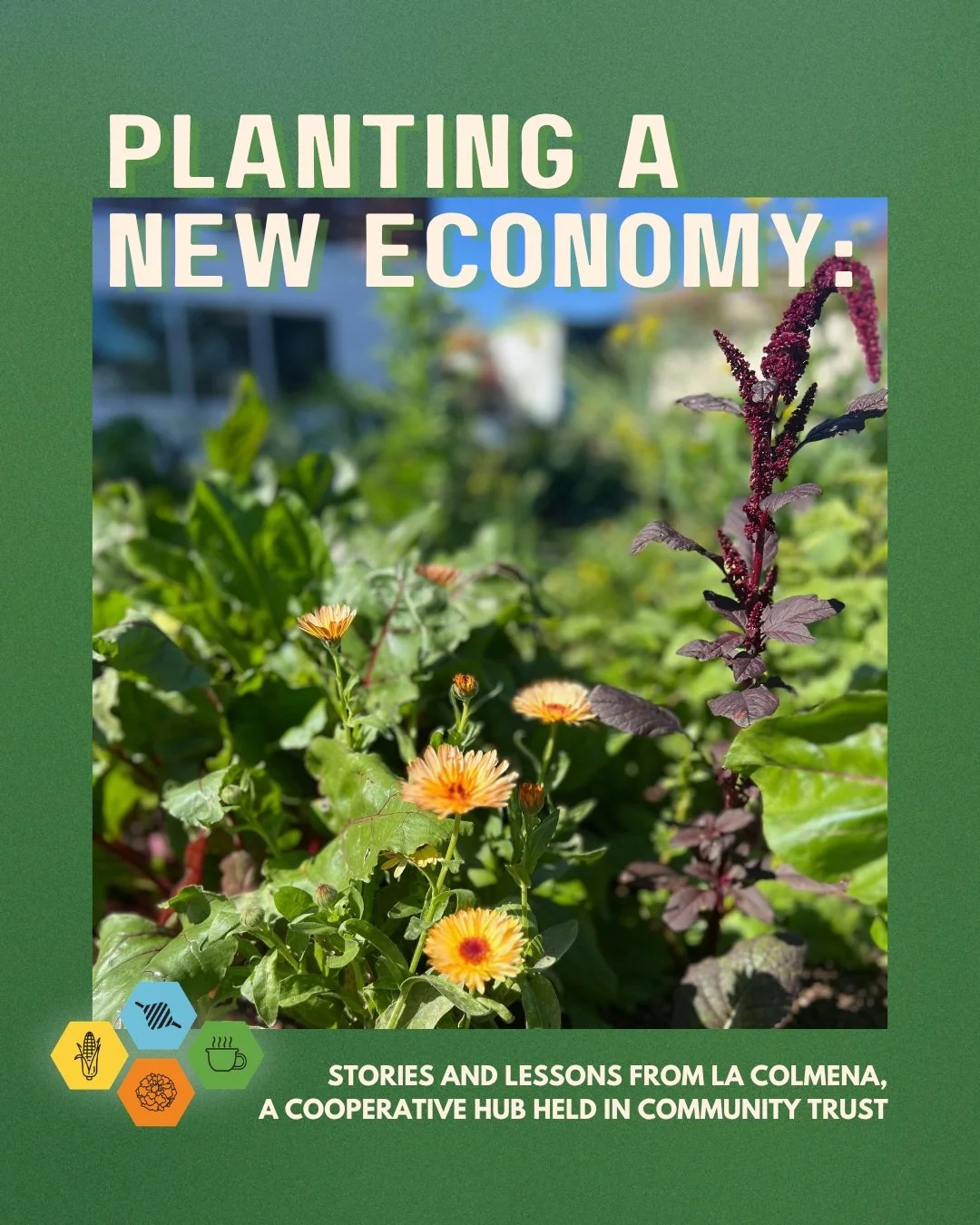 "La Colmena feels like home and family, not just a business. People come &ldquo;con confianza&rdquo; (with trust),
knowing they&rsquo;re safe, welcome, and truly belong. Visitors connect with others who share their values, help each other, and b