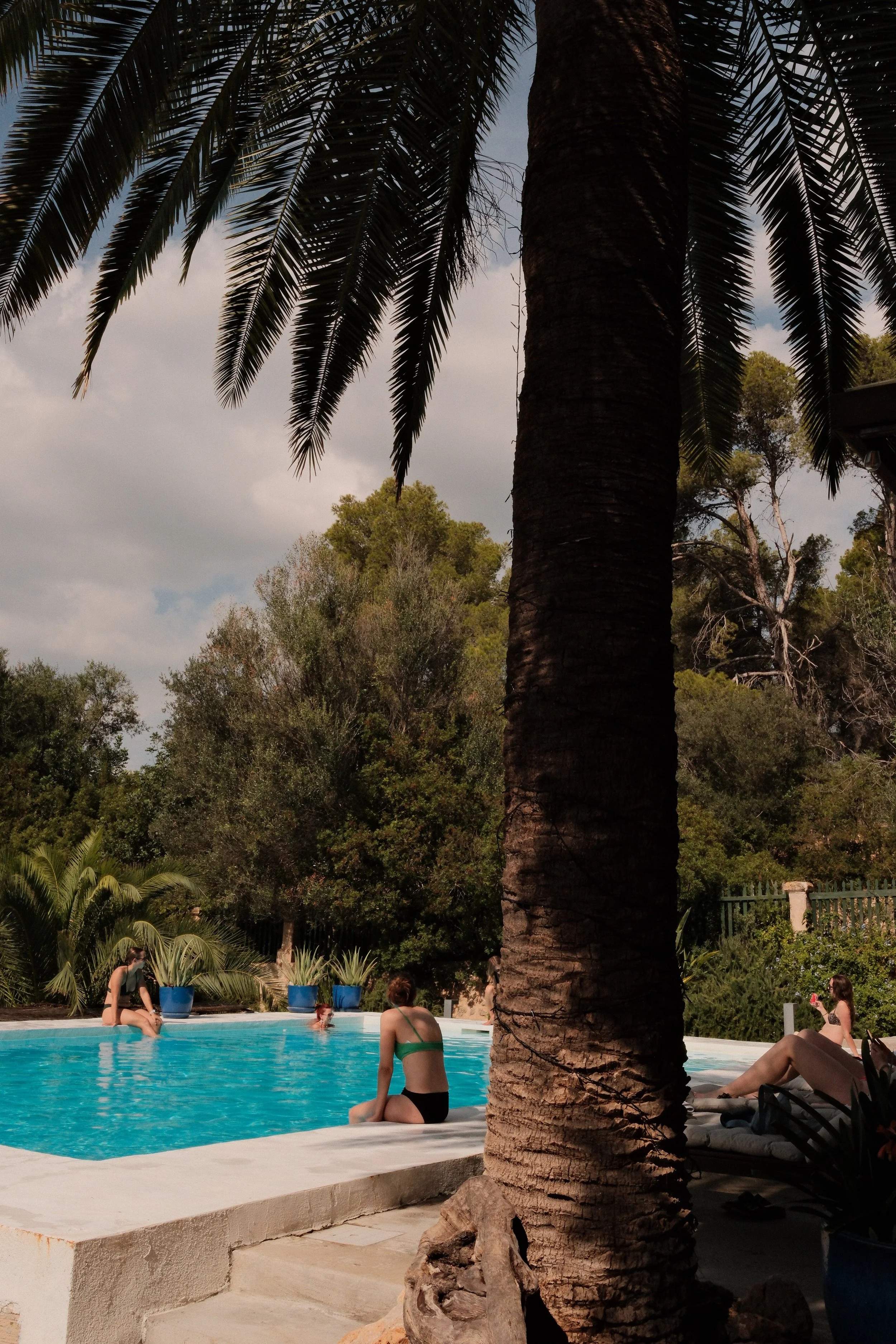 People relaxing by a swimming pool surrounded by greenery, palm trees, and potted plants in a sunny outdoor setting.