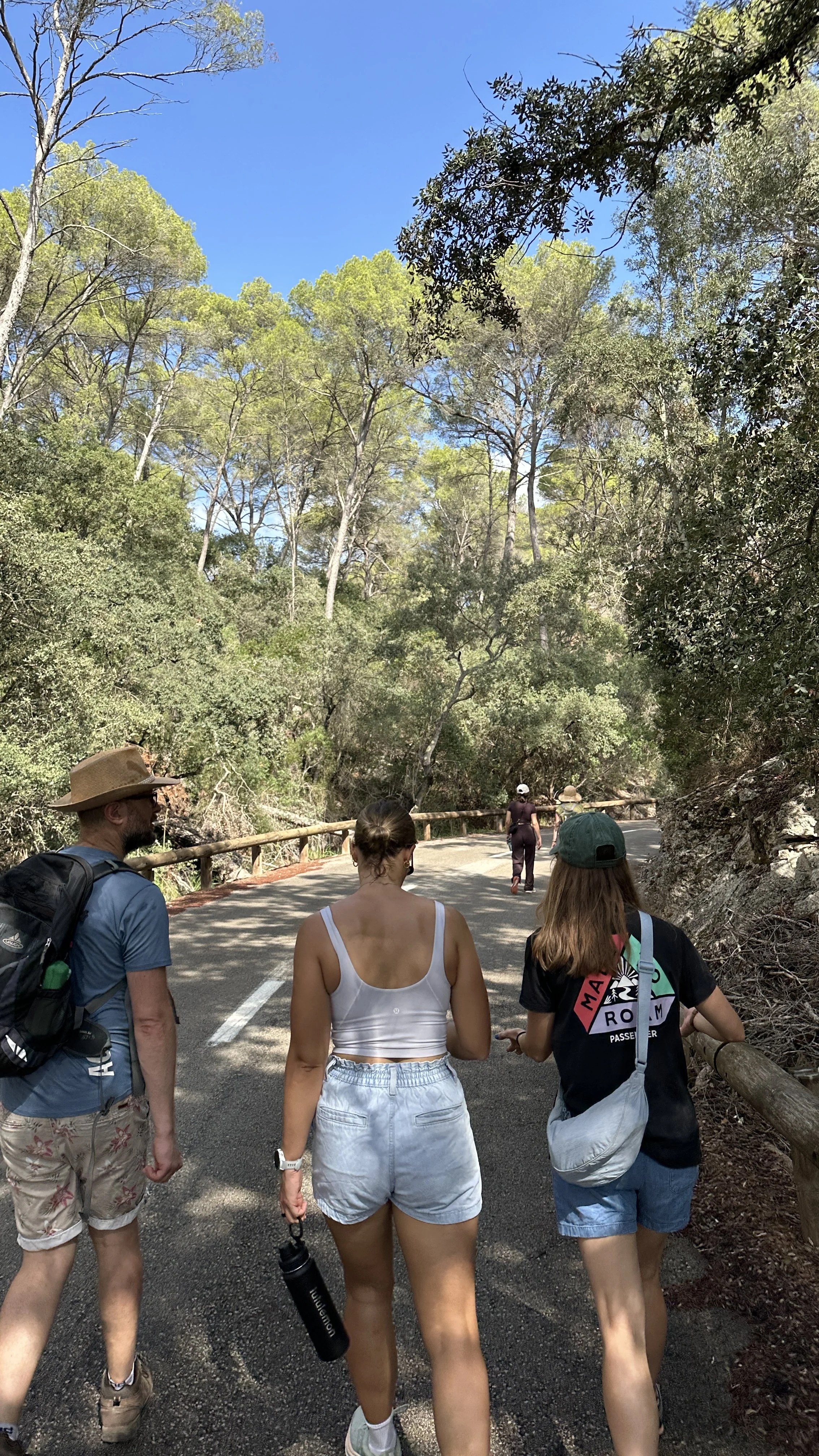 Group of people walking along a forested trail under a bright blue sky. Some are wearing hats, shorts, and casual hiking attire. The trail is surrounded by tall trees and dense greenery.