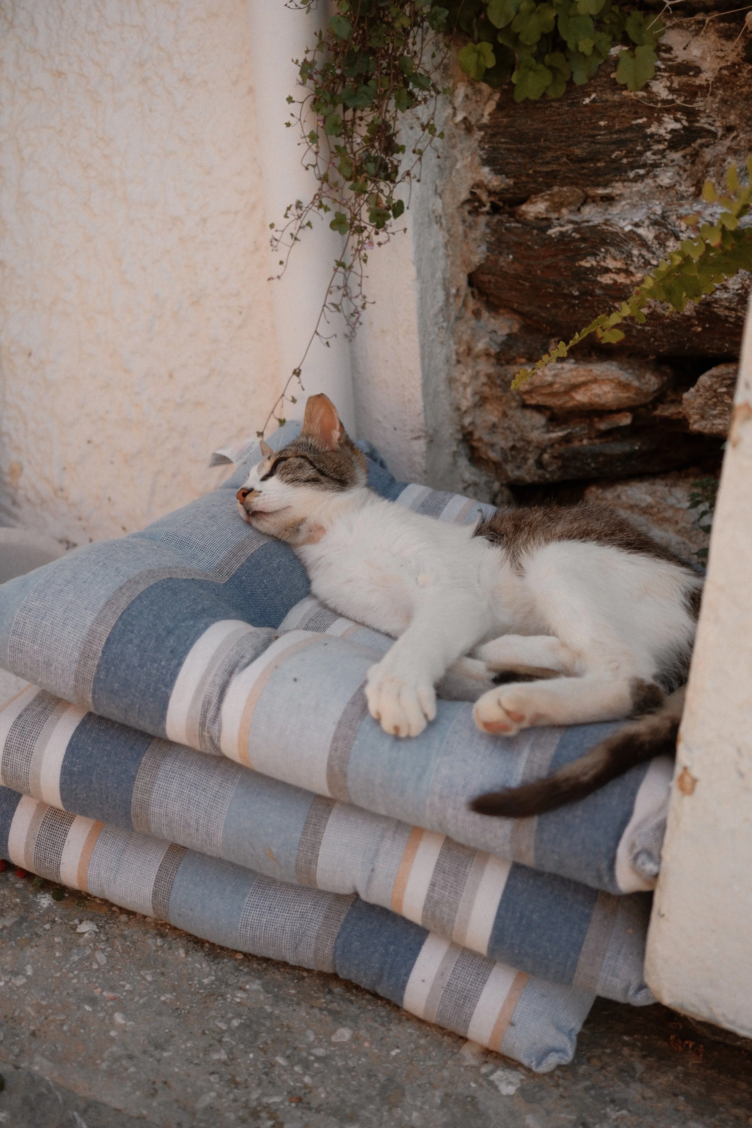 DSCF0792.jpg