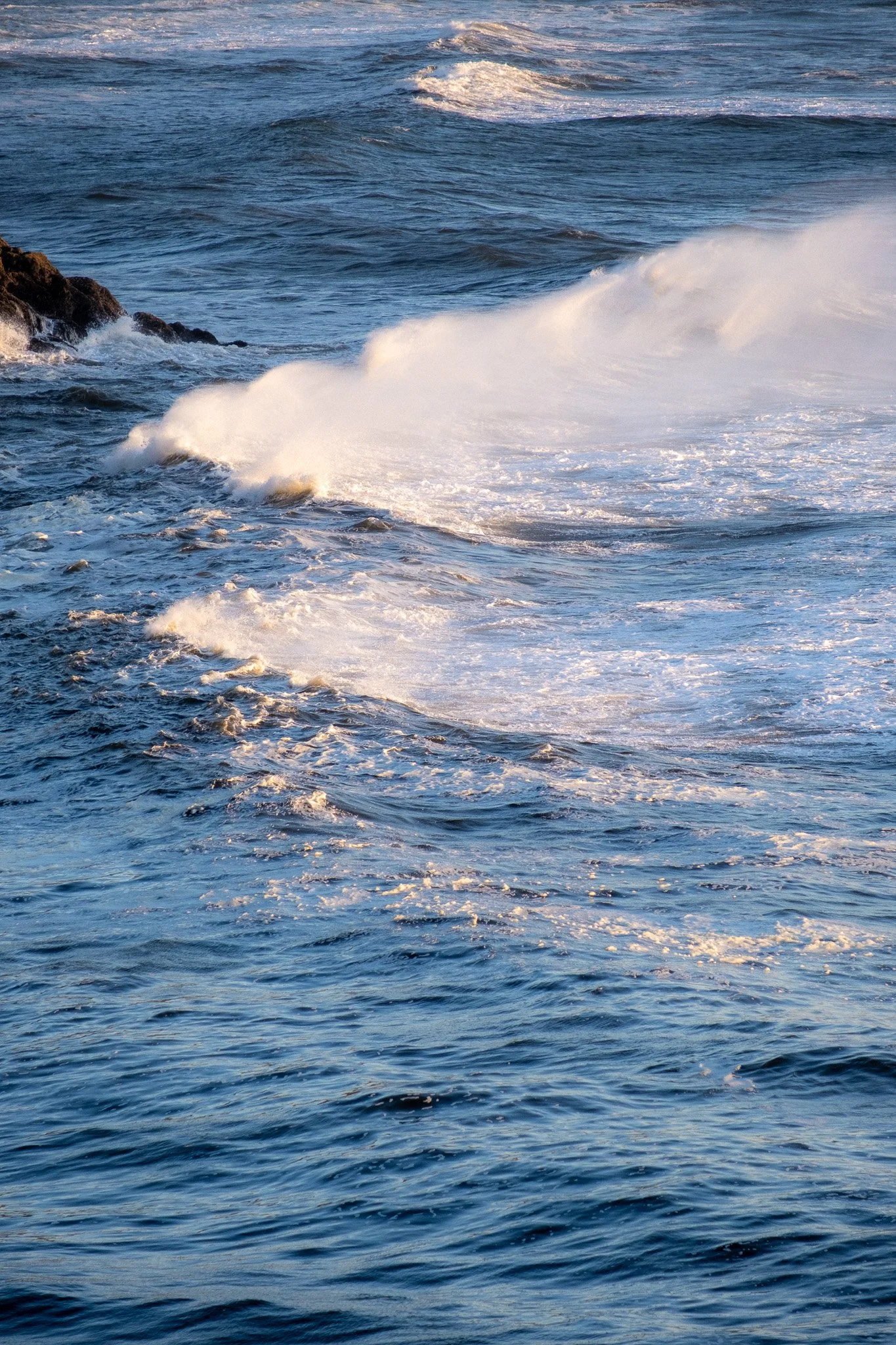 DSCF7159.jpg
