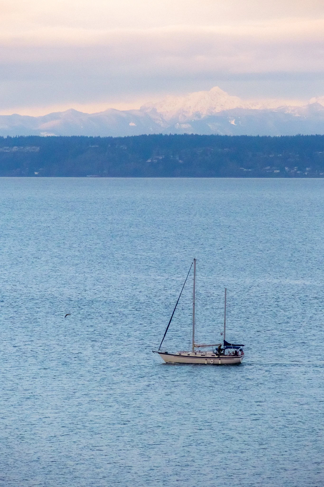 DSCF0774.jpg