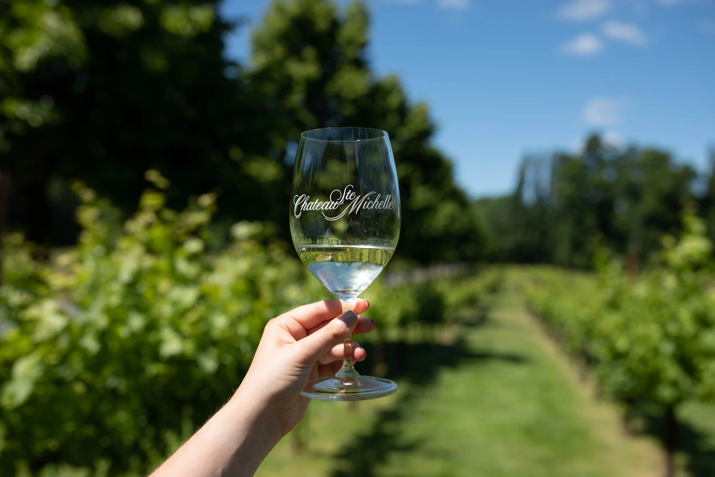 CSM Wine Glass in VIneyard (2).jpg
