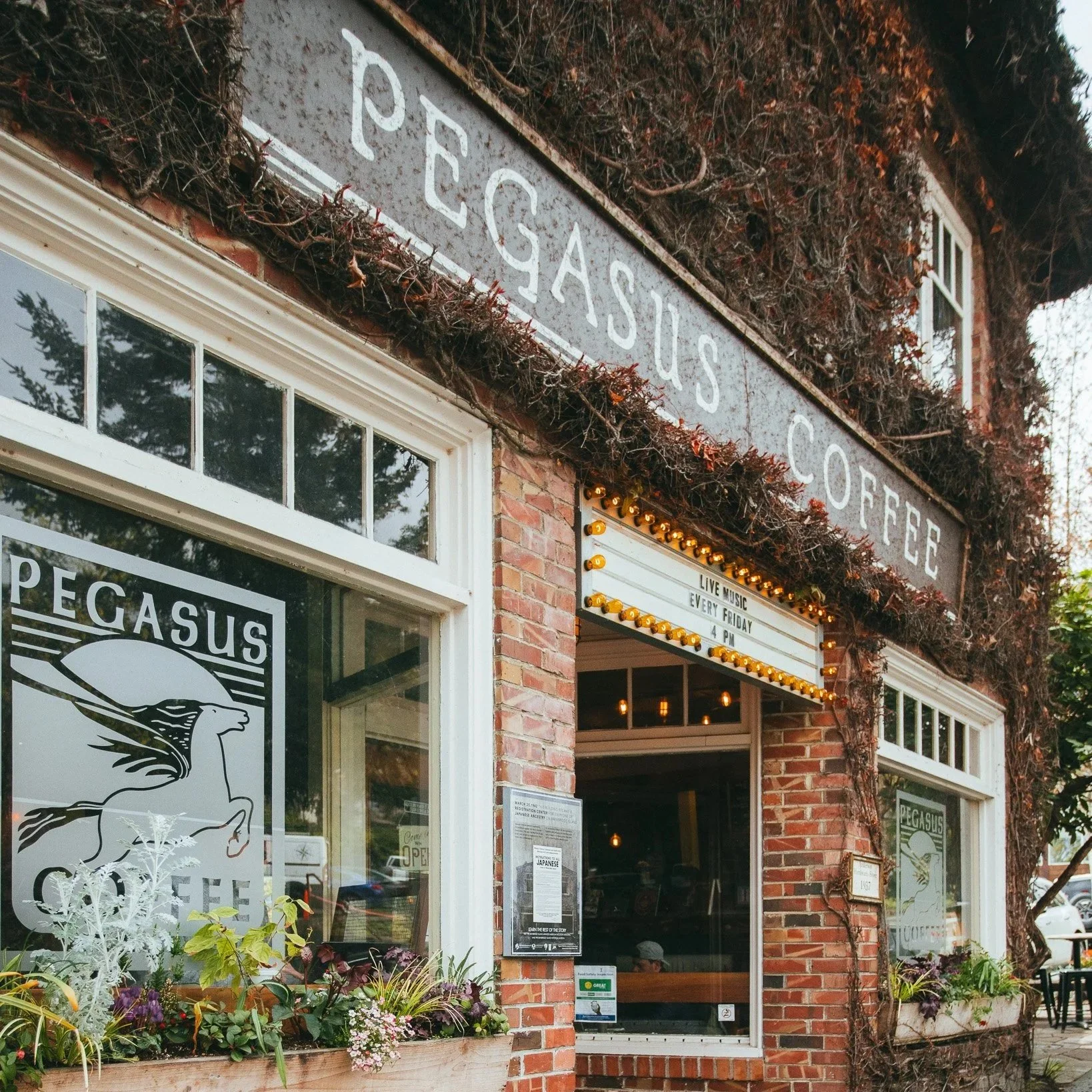 Pegasus