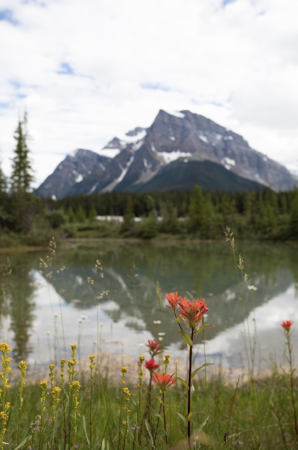 Screenshot 2024-11-19 at 10.54.46 AM.png