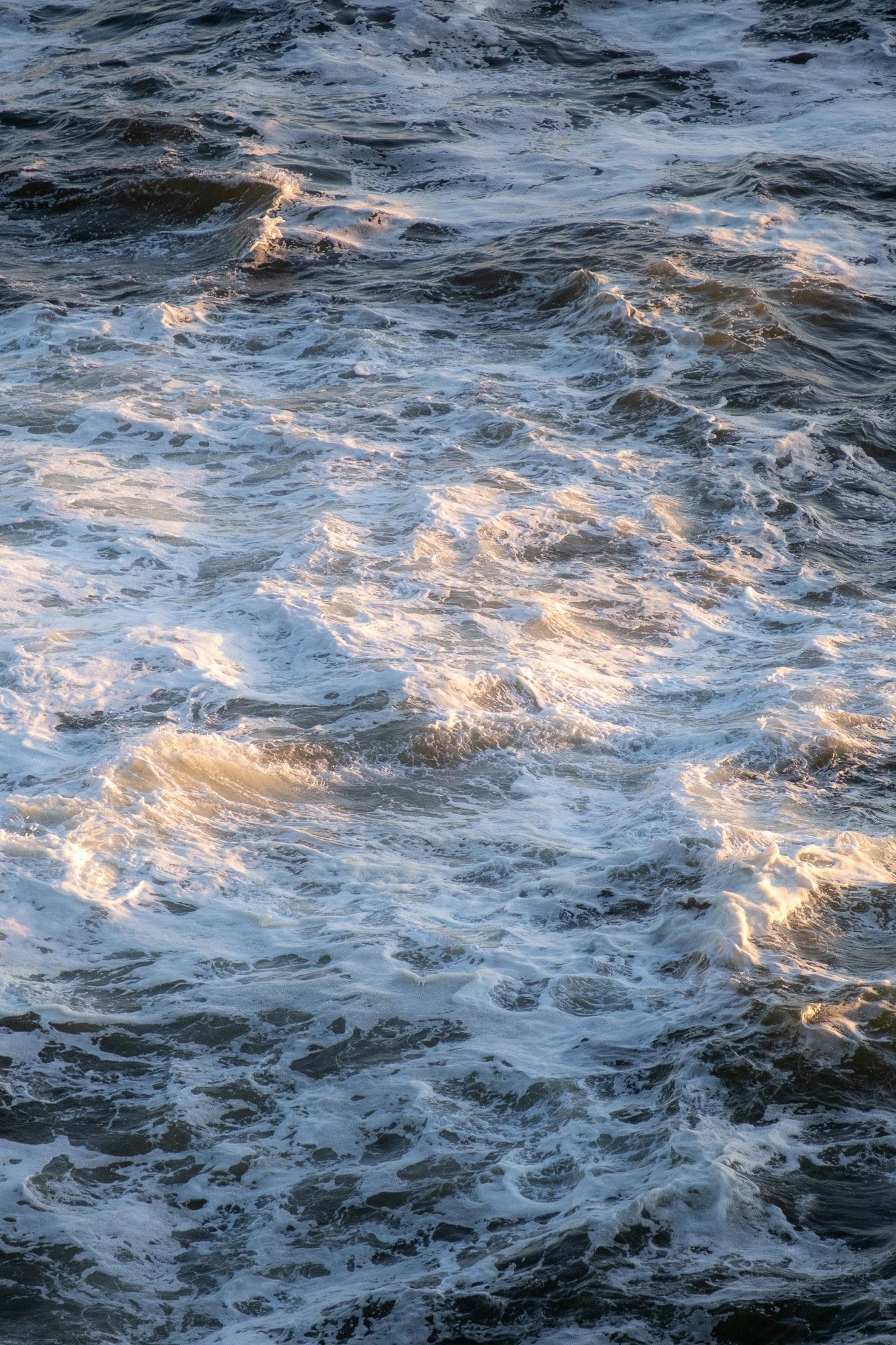 DSCF7164.jpg