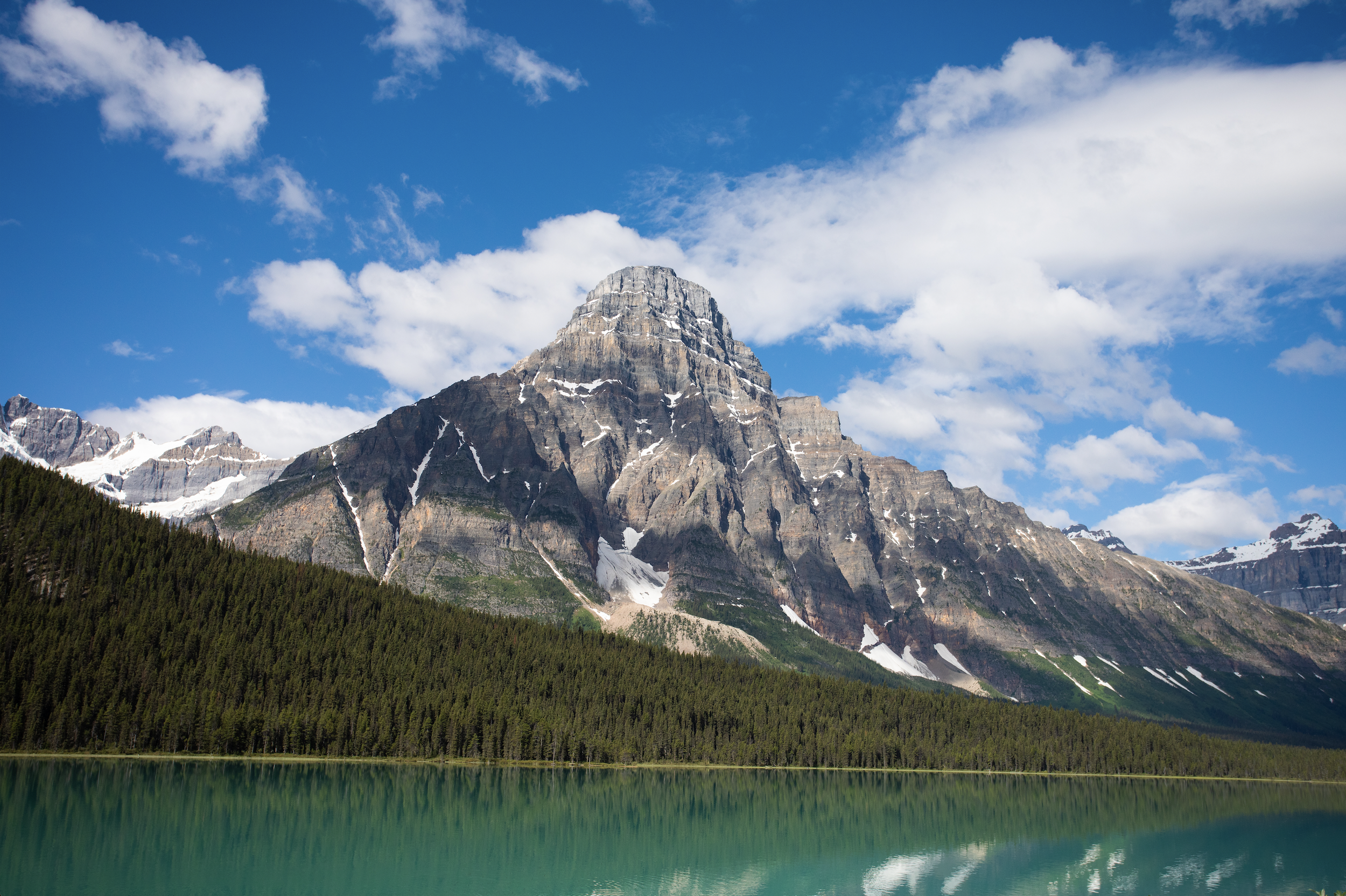 Screenshot 2024-11-19 at 10.54.14 AM.png