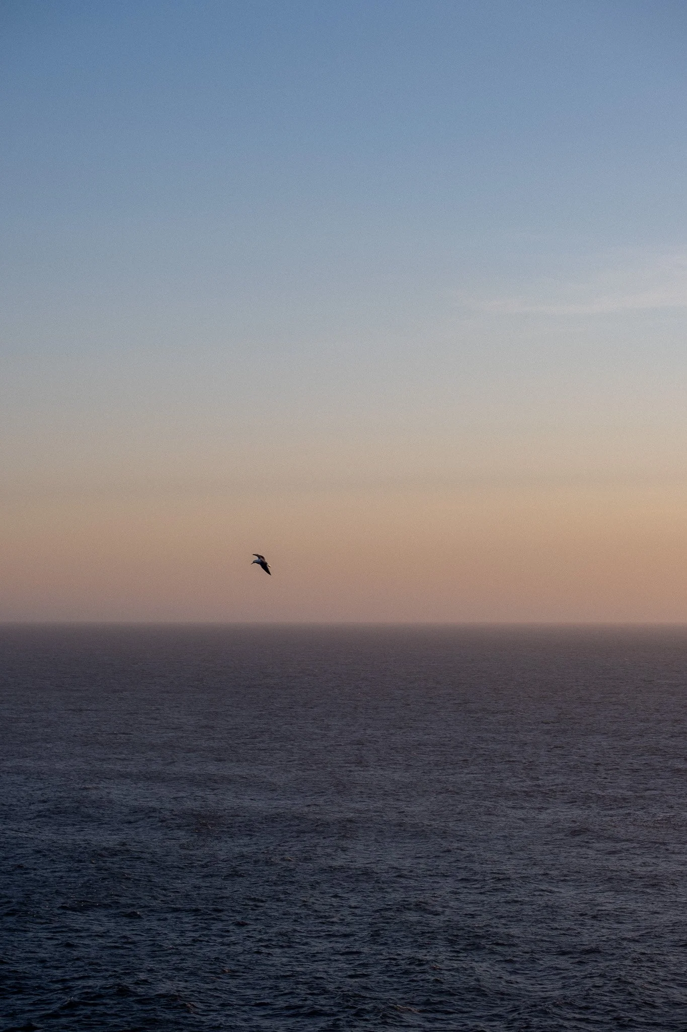 DSCF7161.jpg