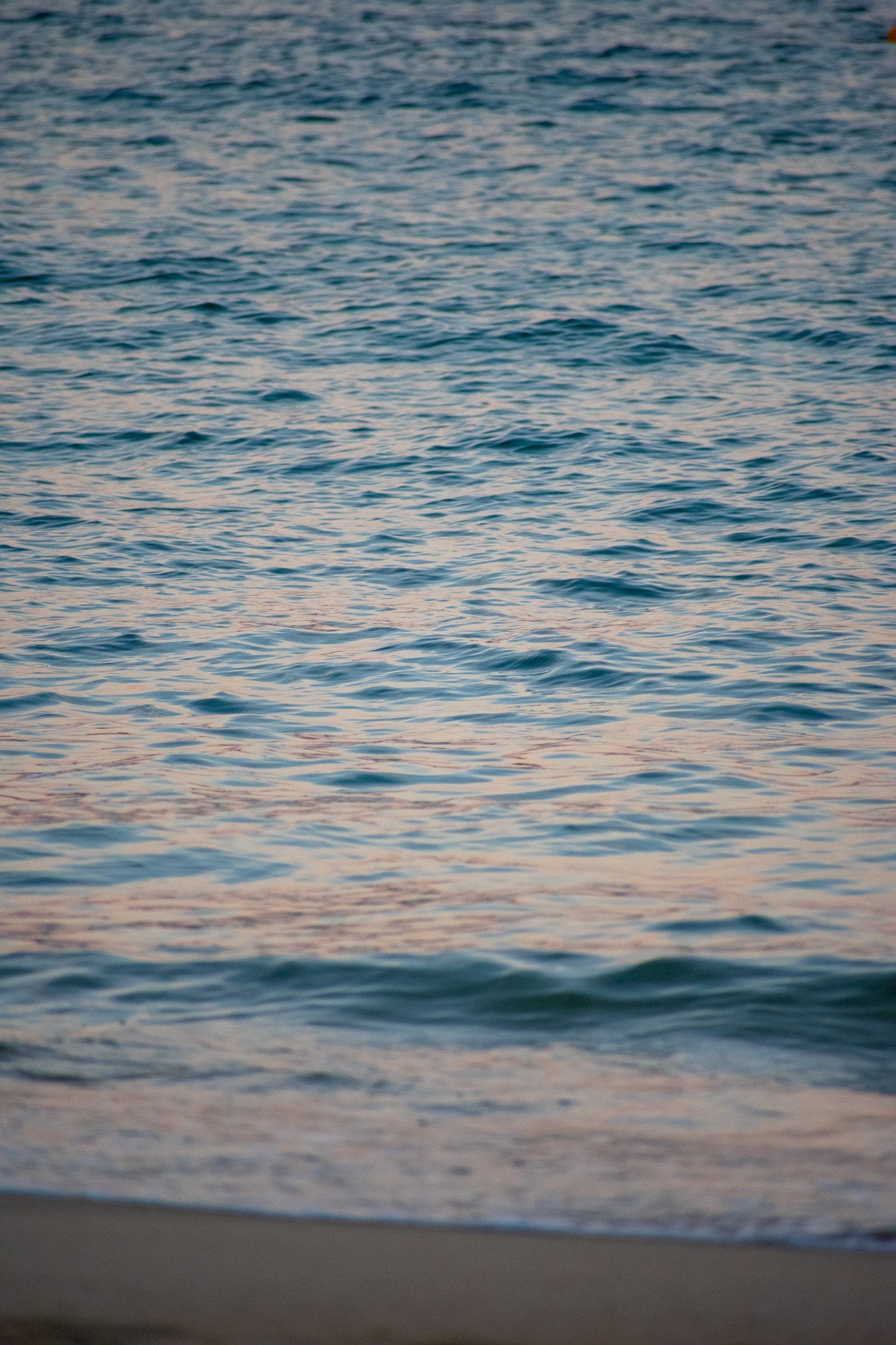 DSC_0408.jpg