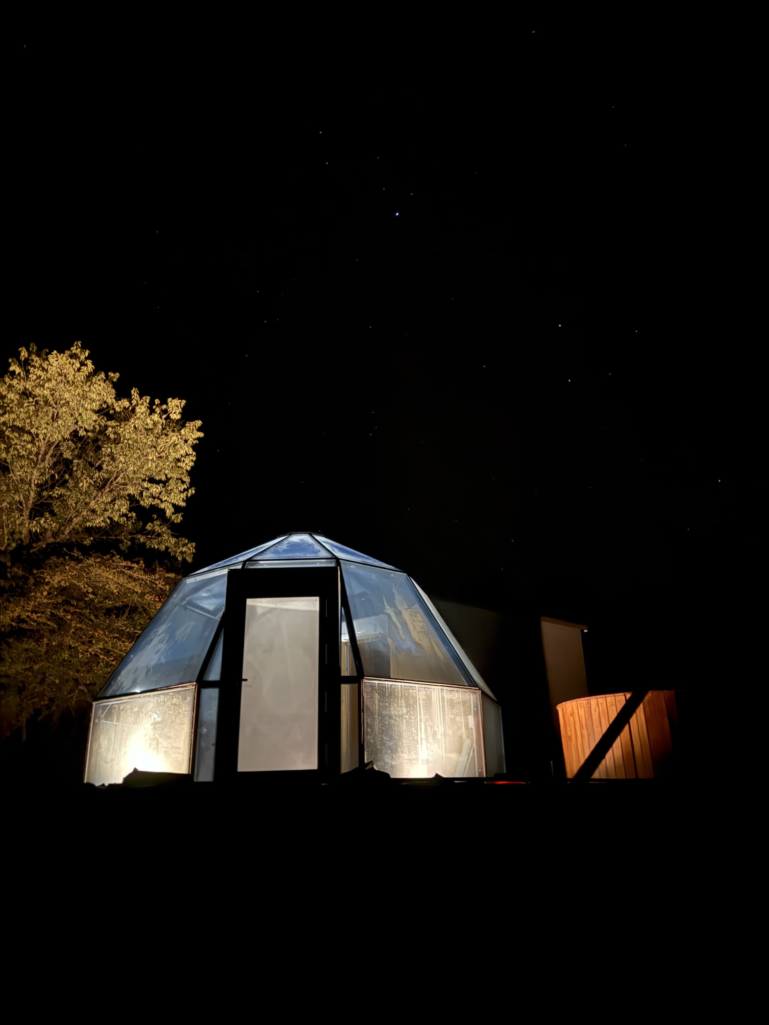 Casa de cristal en la noche con árboles y muchas estrellas en el cielo.