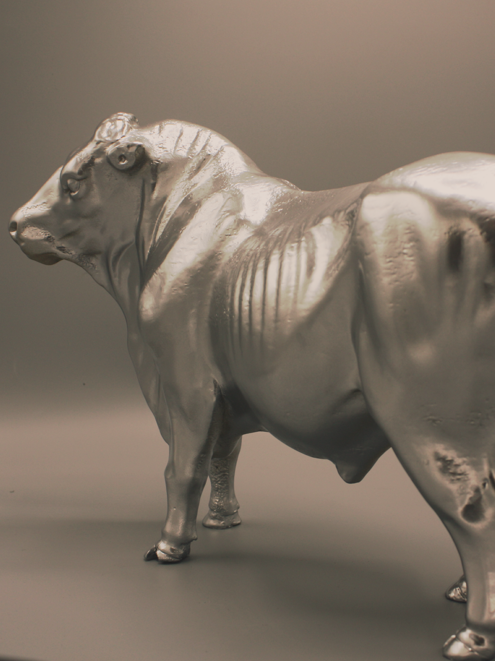 silverbull_back_website.png
