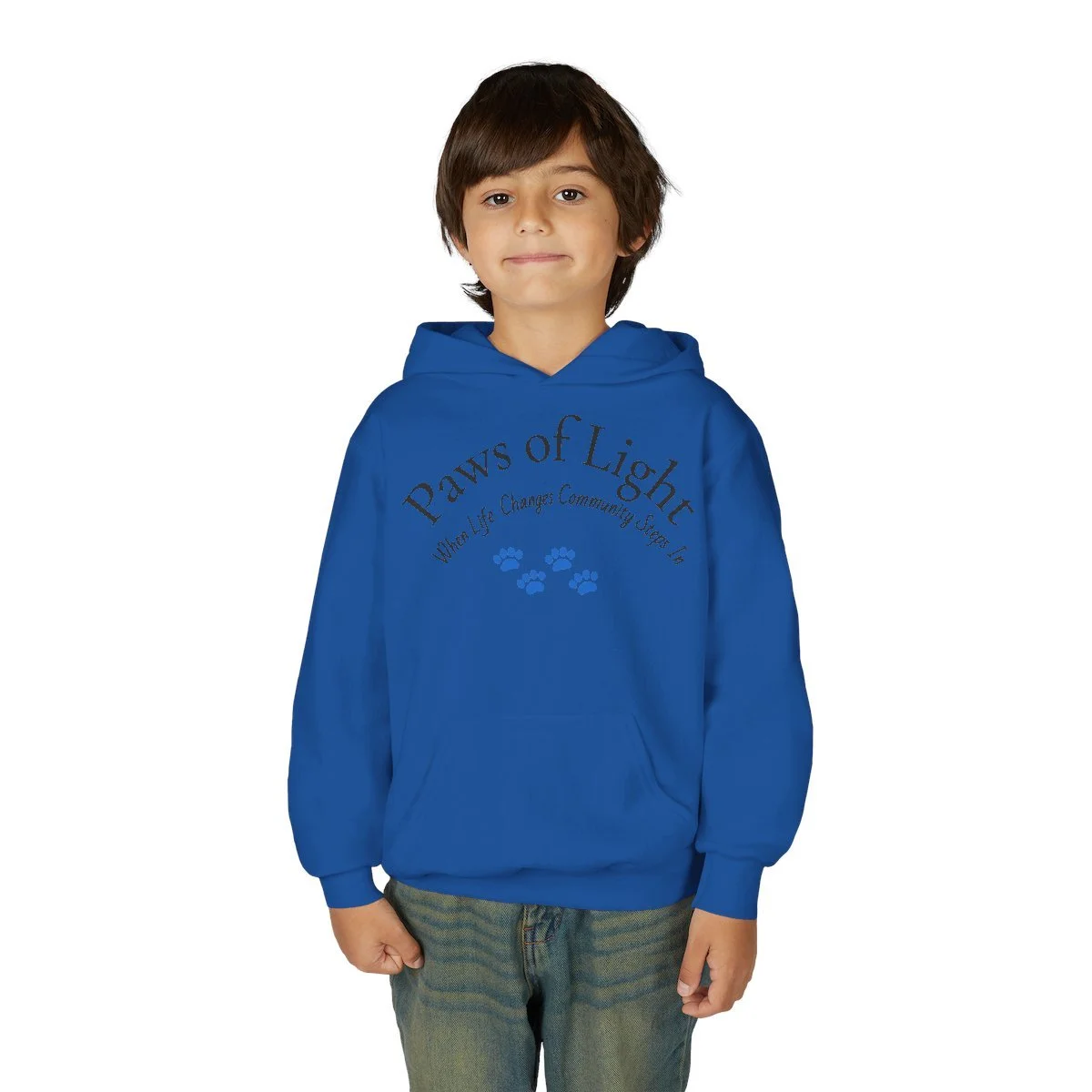 paws-of-light-youth-hoodie-pet-memorial-fundraiser-design.jpg