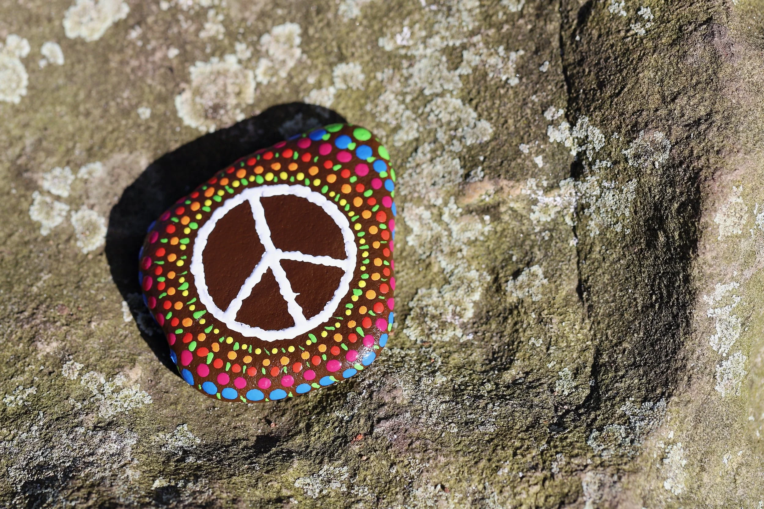 When the world (and your body) is on fire