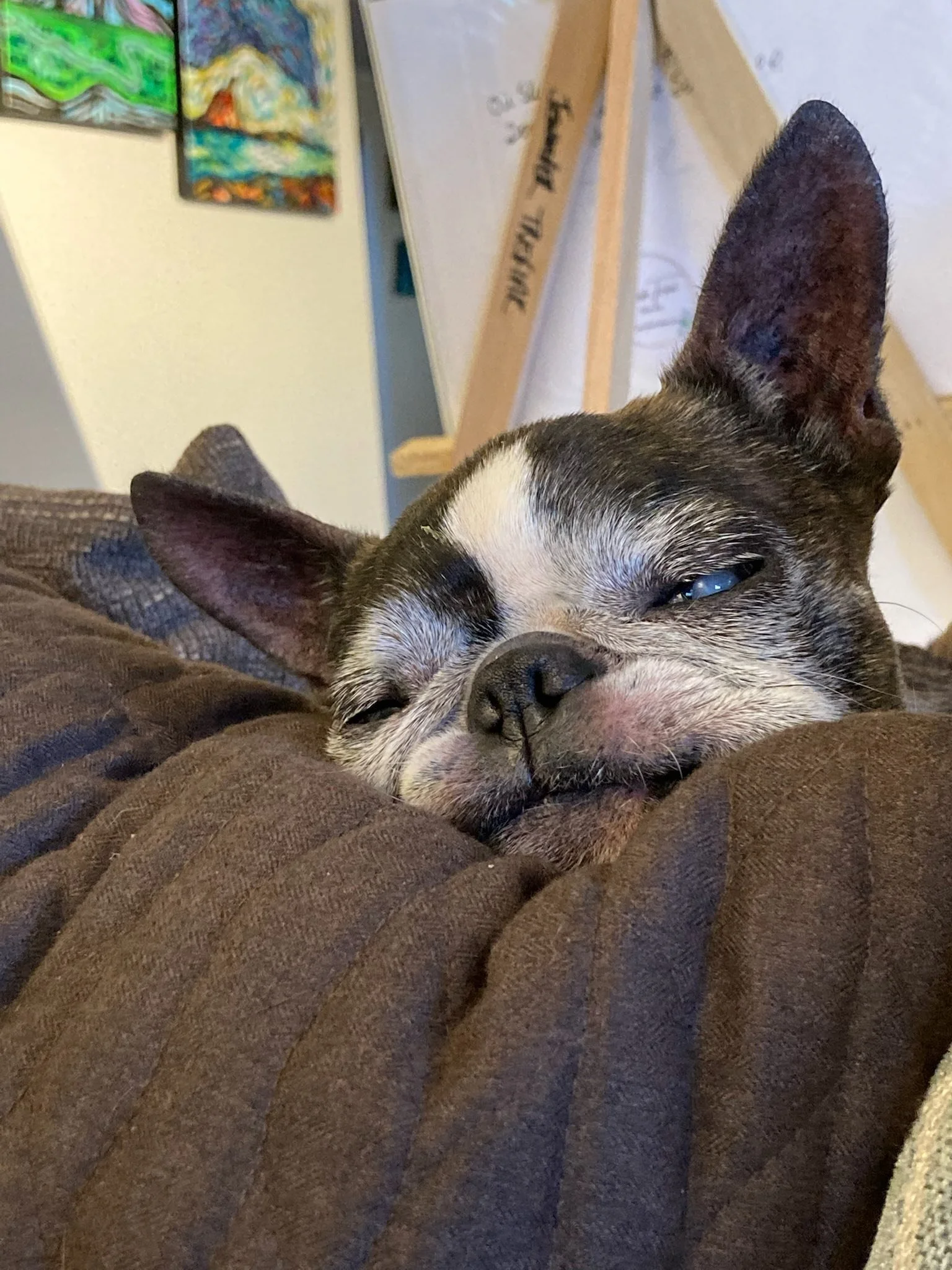 Lucy in studio.jpg