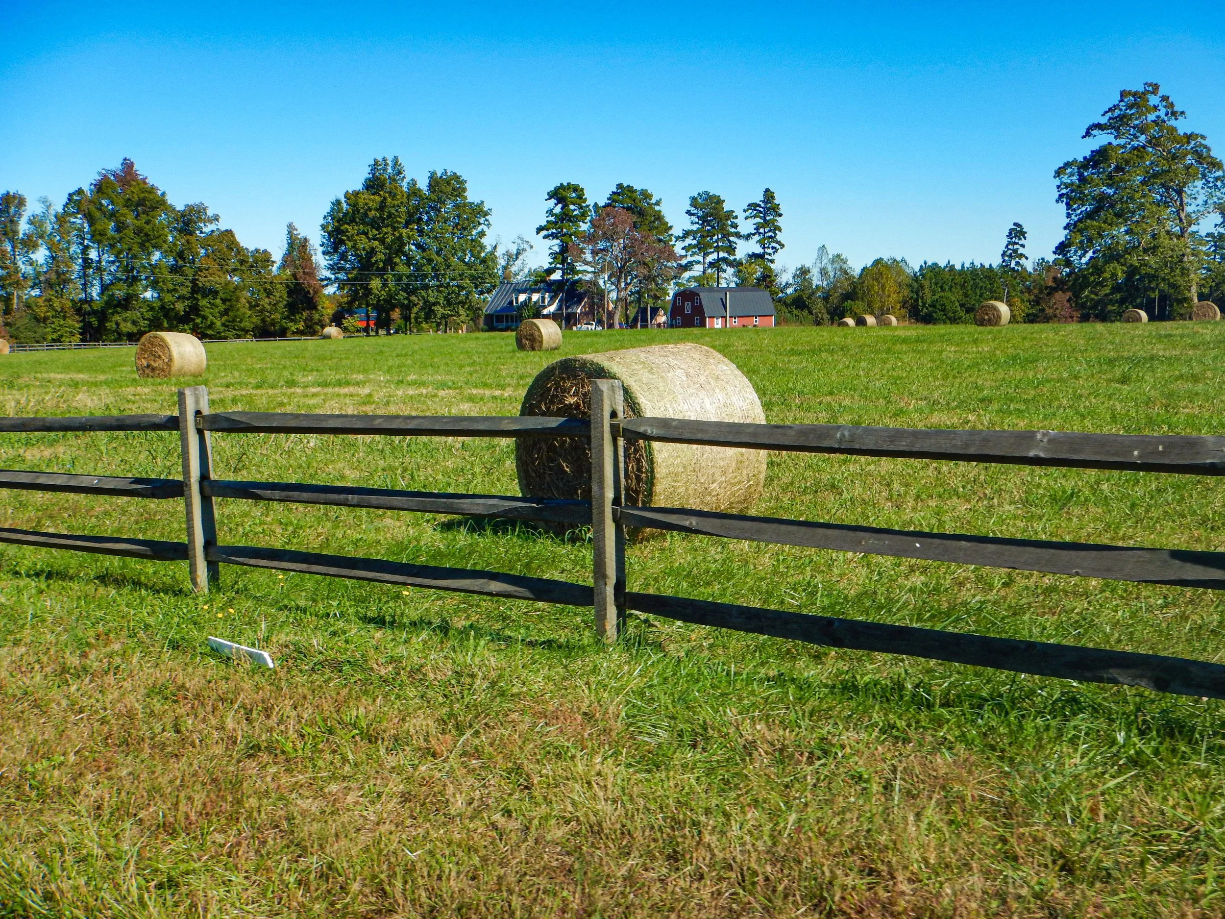 More Virginia farmland